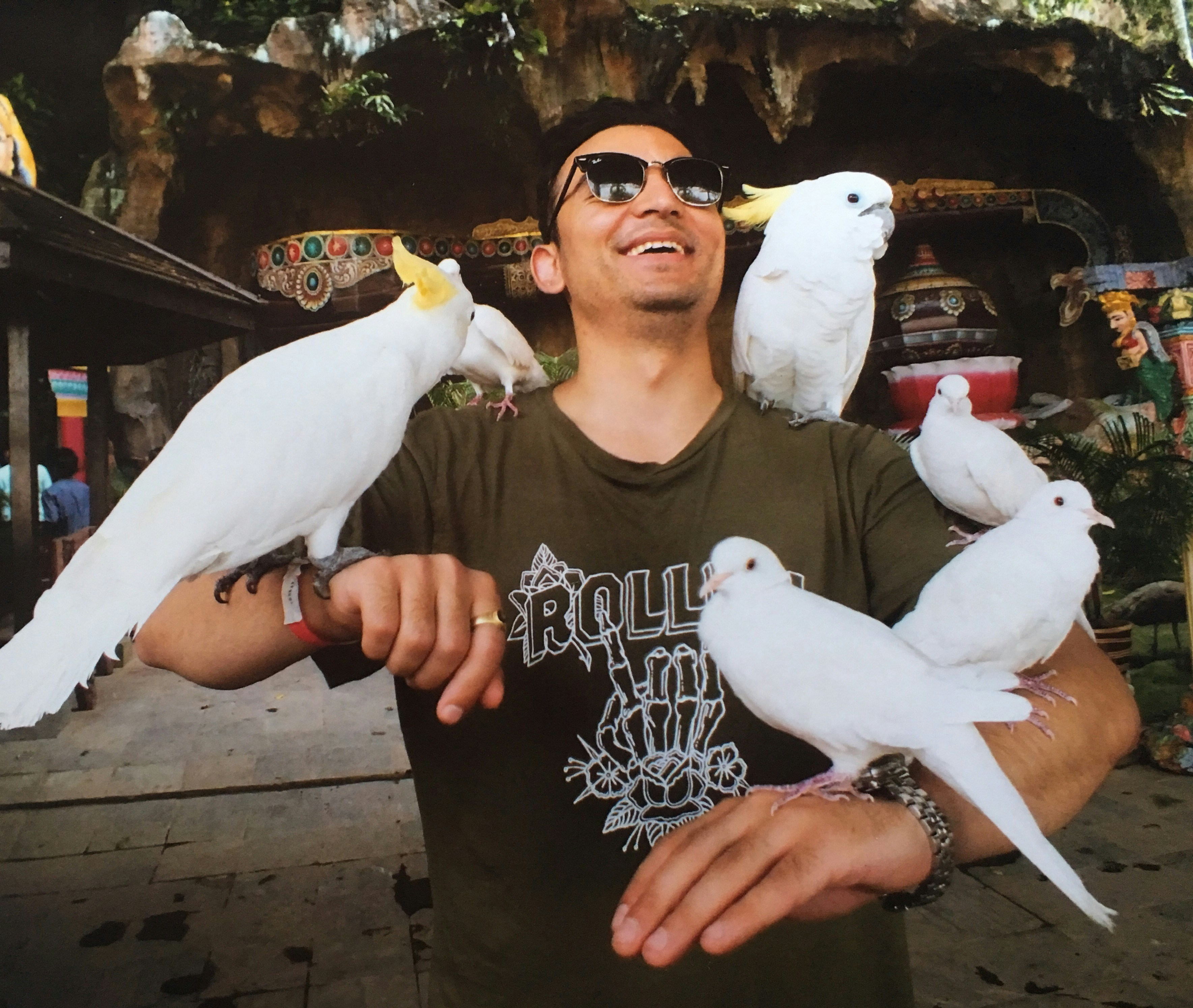 Colorful parrot secured in a travel cage with proper ventilation