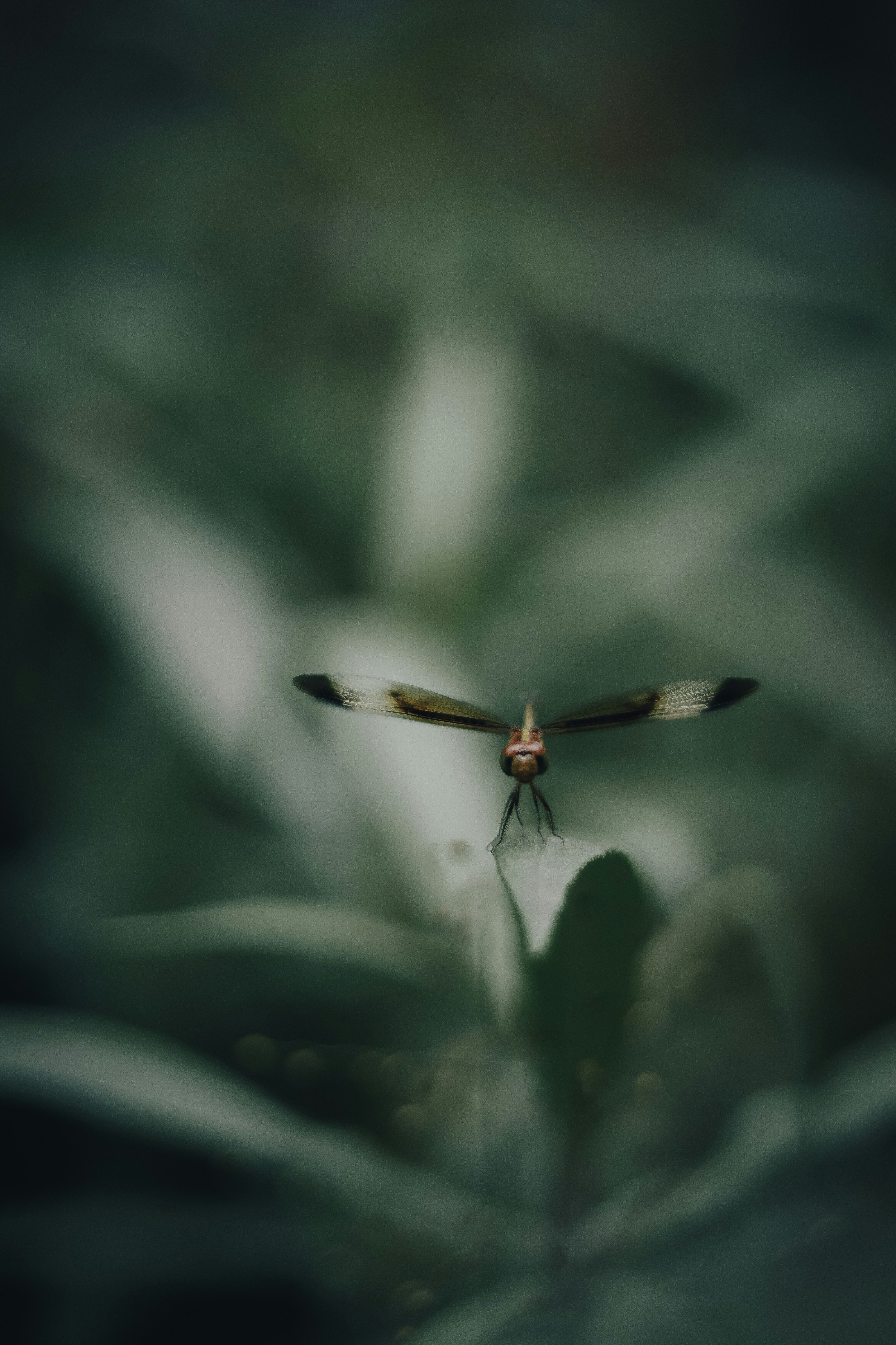 A blurry photo of a bird flying in the air