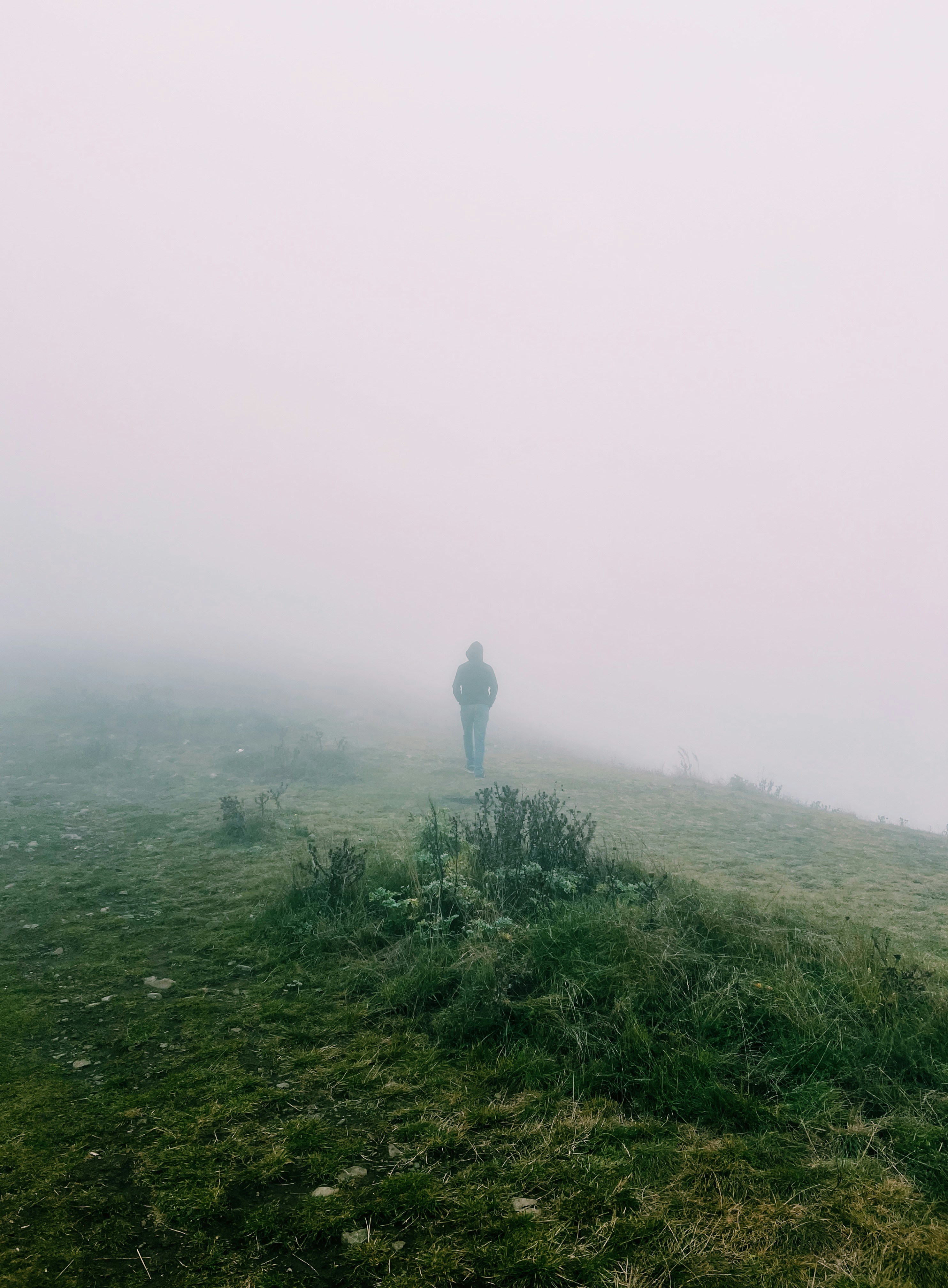 Photo by roozbeheslami