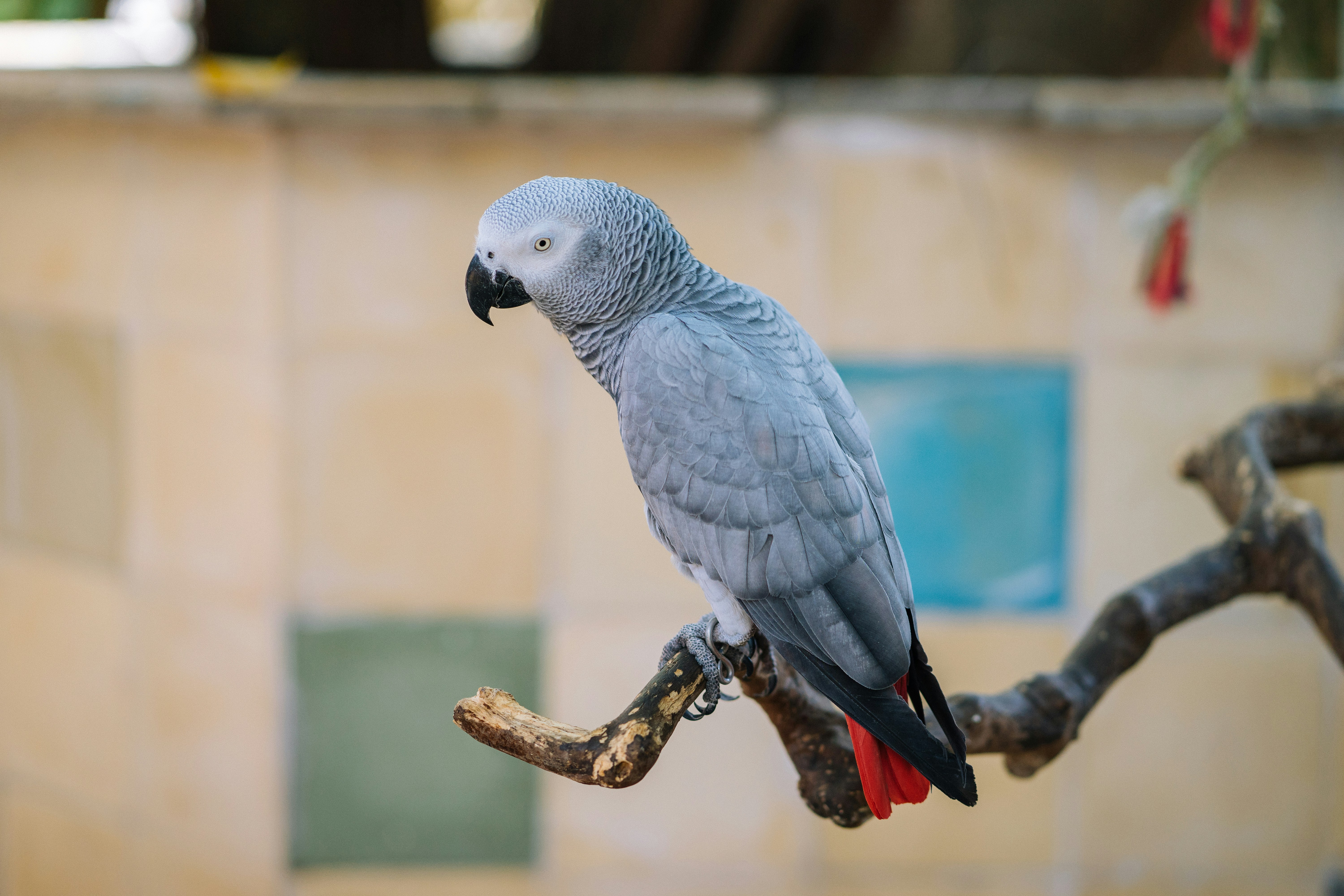 Photo by trancuongvt