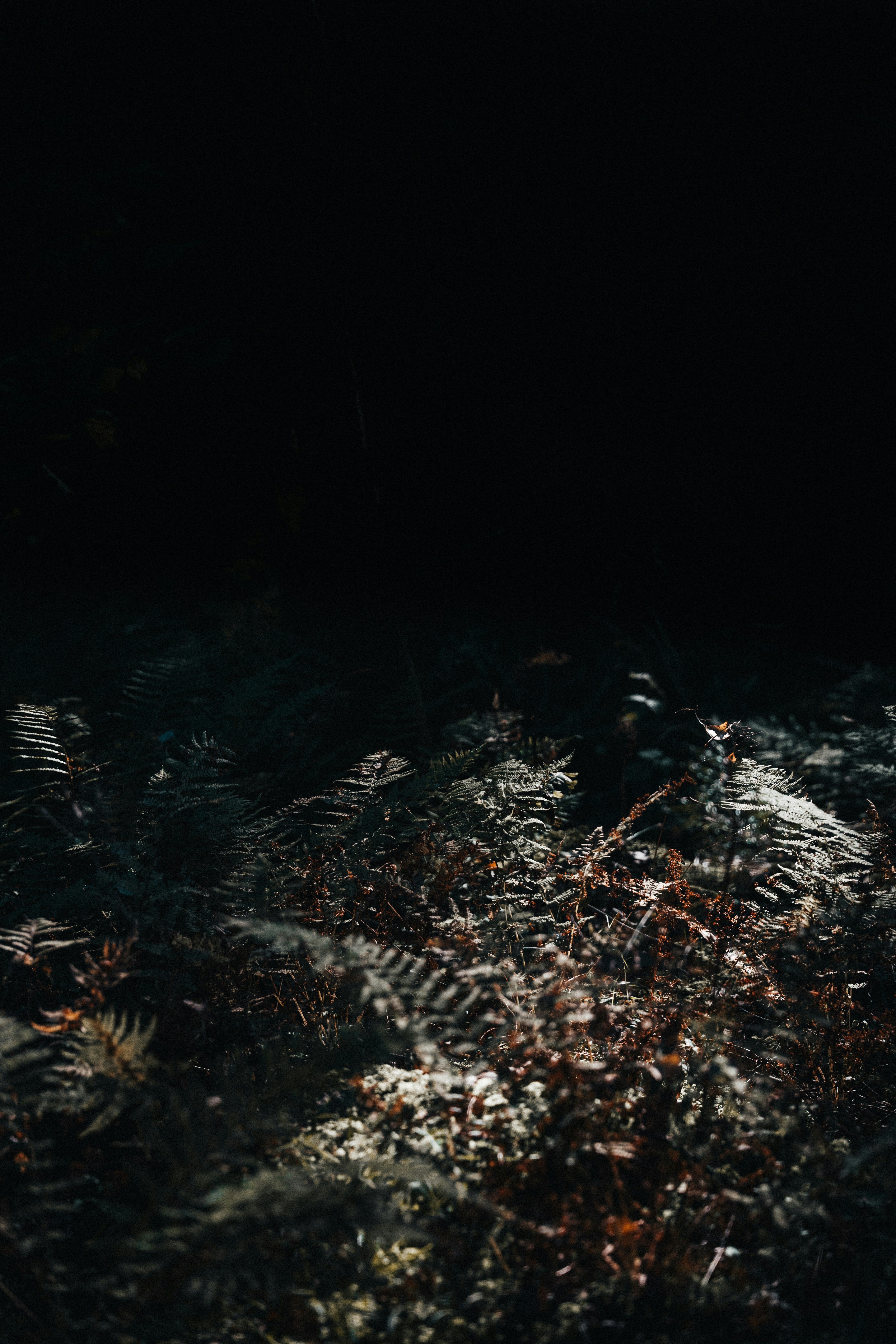 Photo by trfotografi