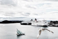 Best Photo Spots in Oslo: 10 Locations Worth the Walk