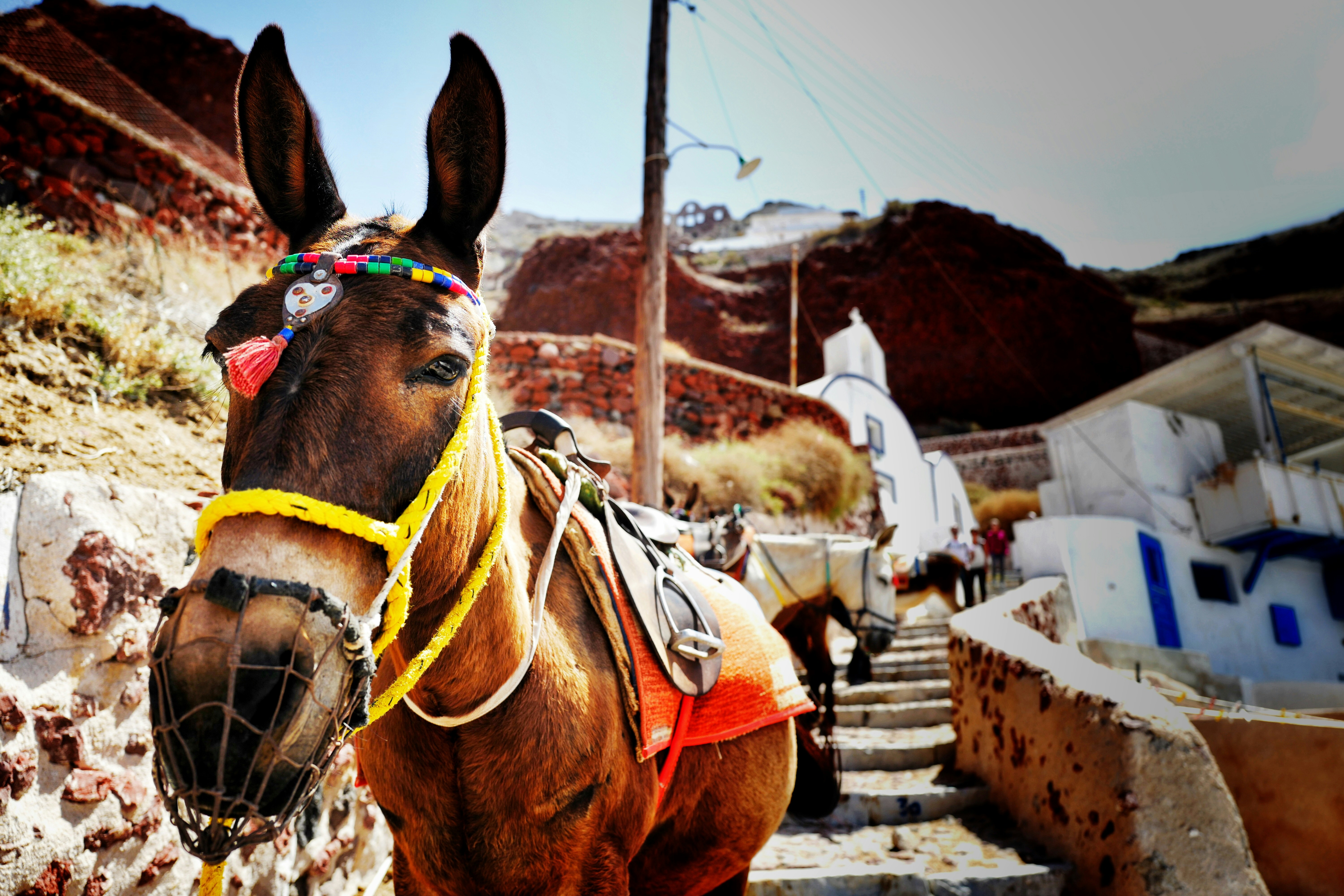 Experience Fira in August: A Family Adventure