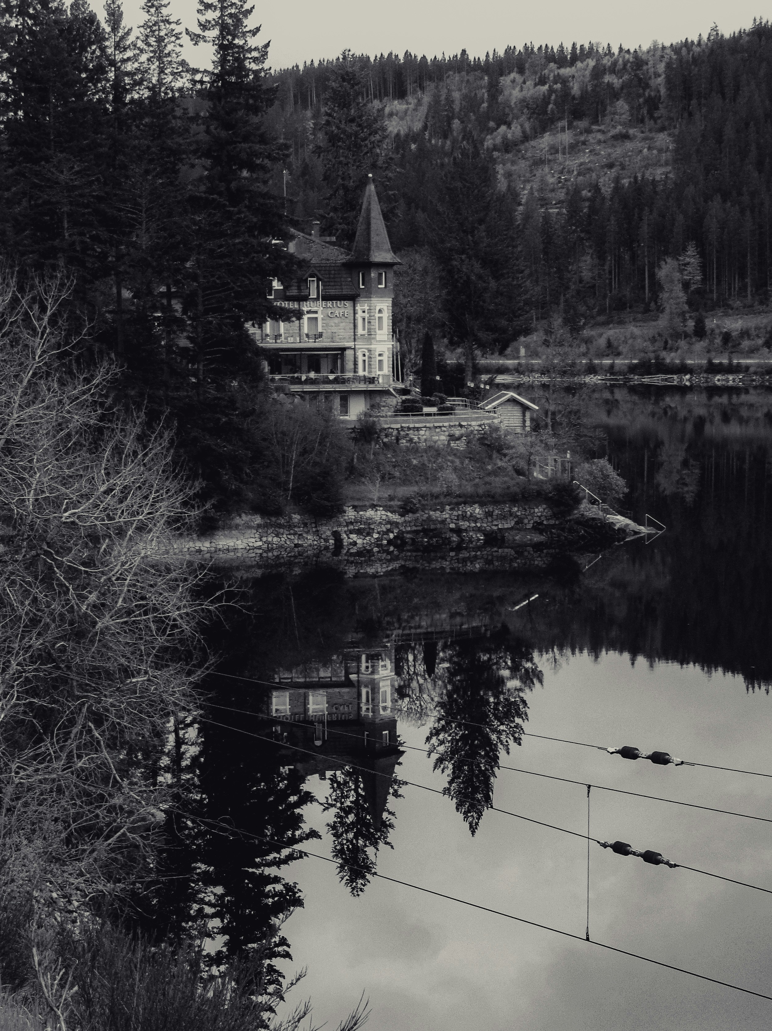 Photo by whitelist
