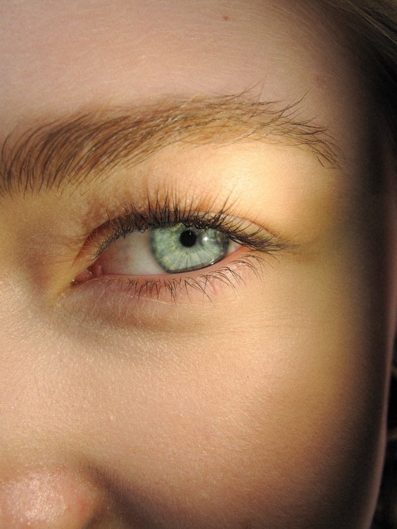 Close-up of beautifully defined eyebrows and lashes
