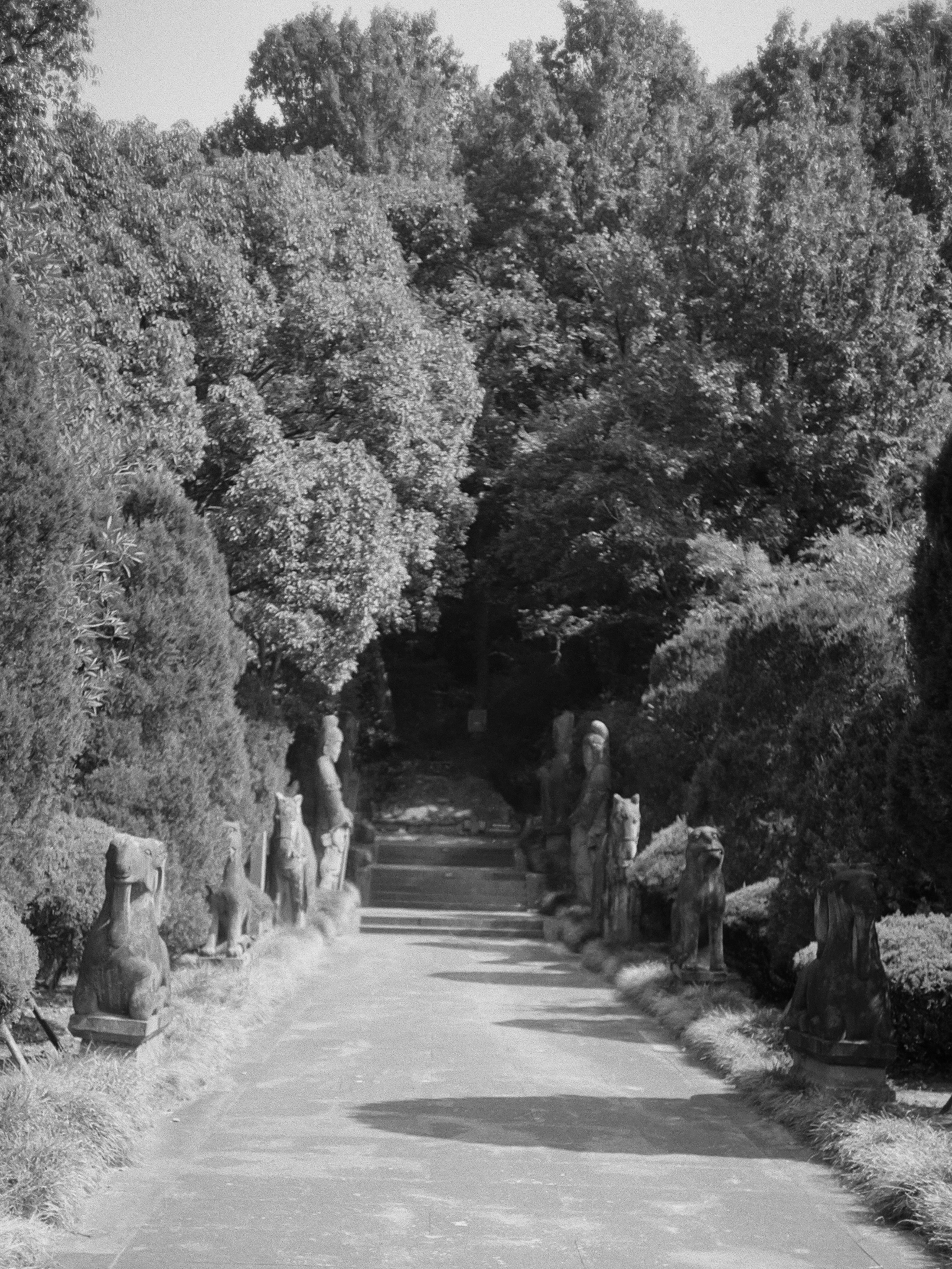 Photo by geraltyichen