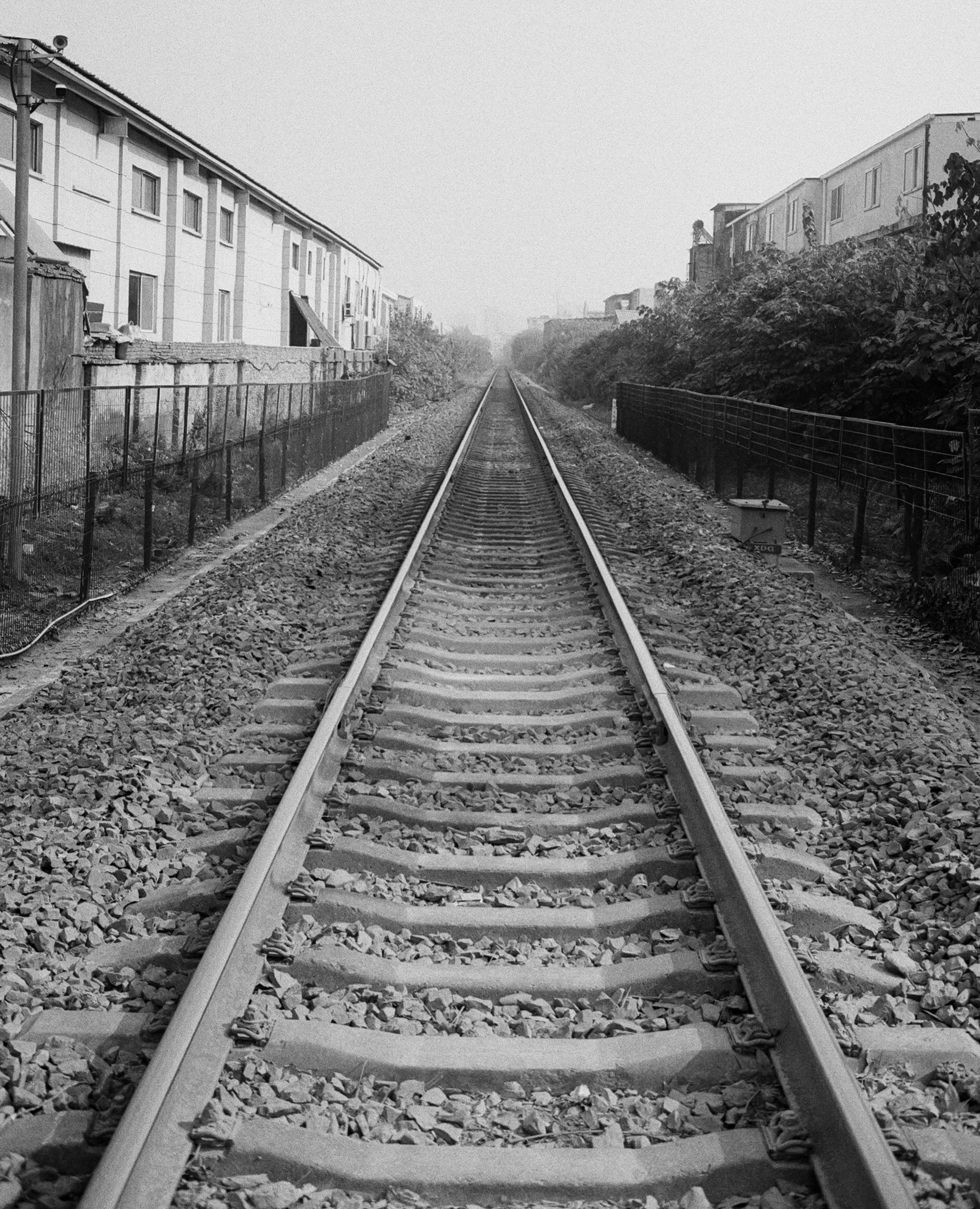 Photo by geraltyichen