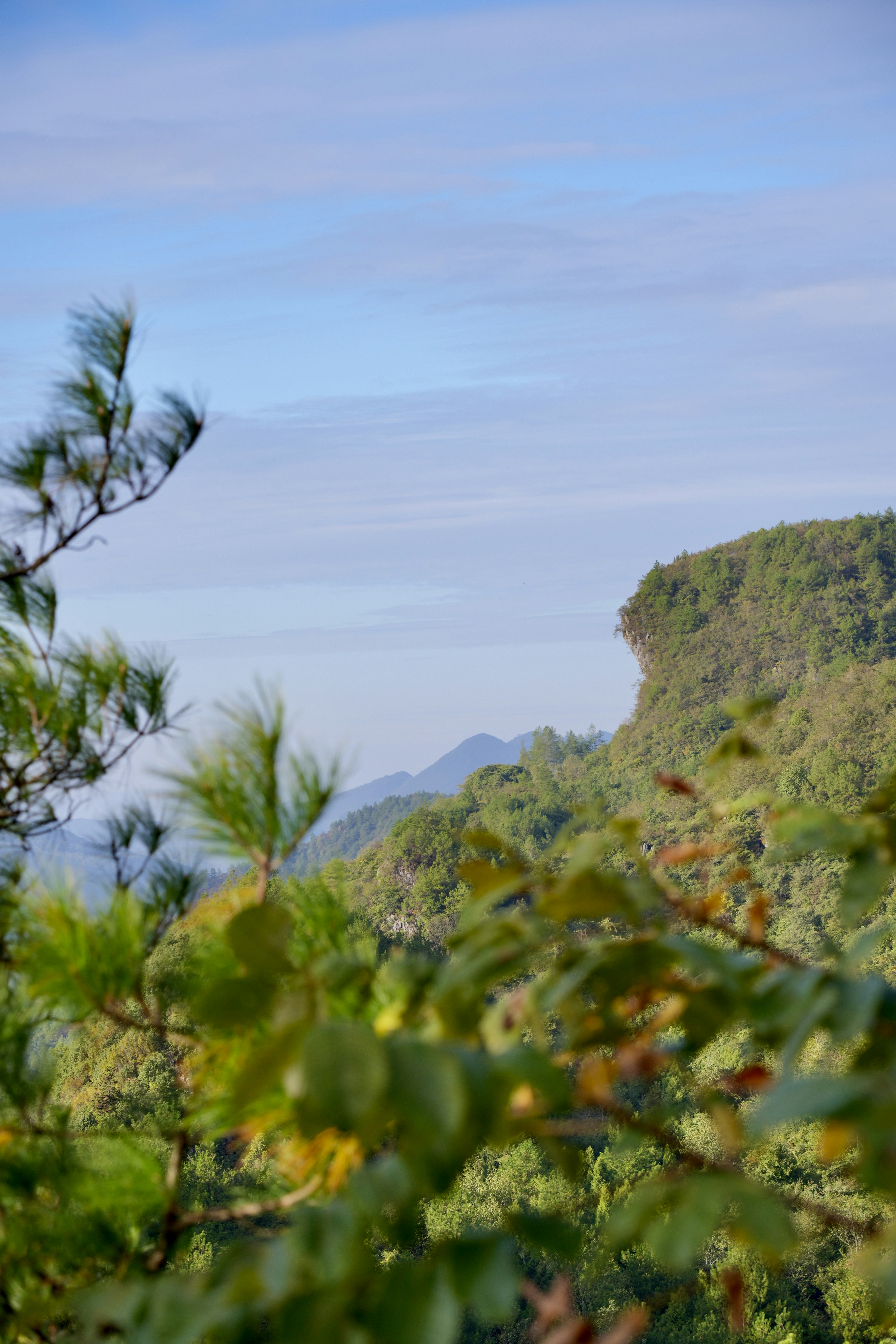A view of a mountain with trees and mountains in the background photo ...