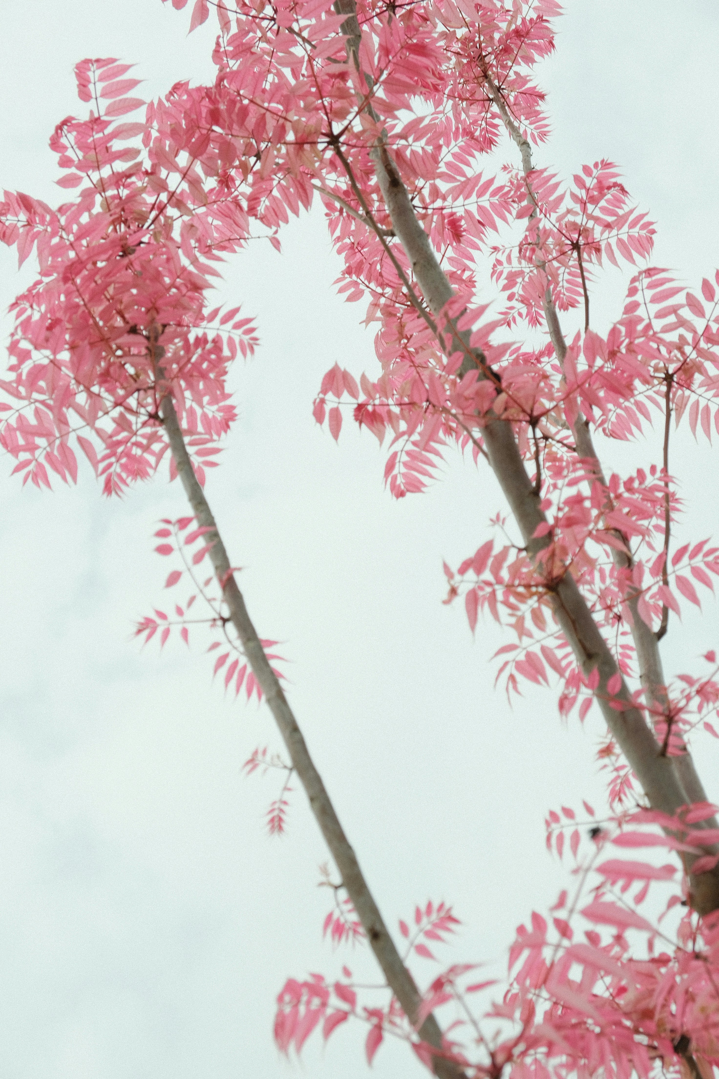 Photo by yannwallaert