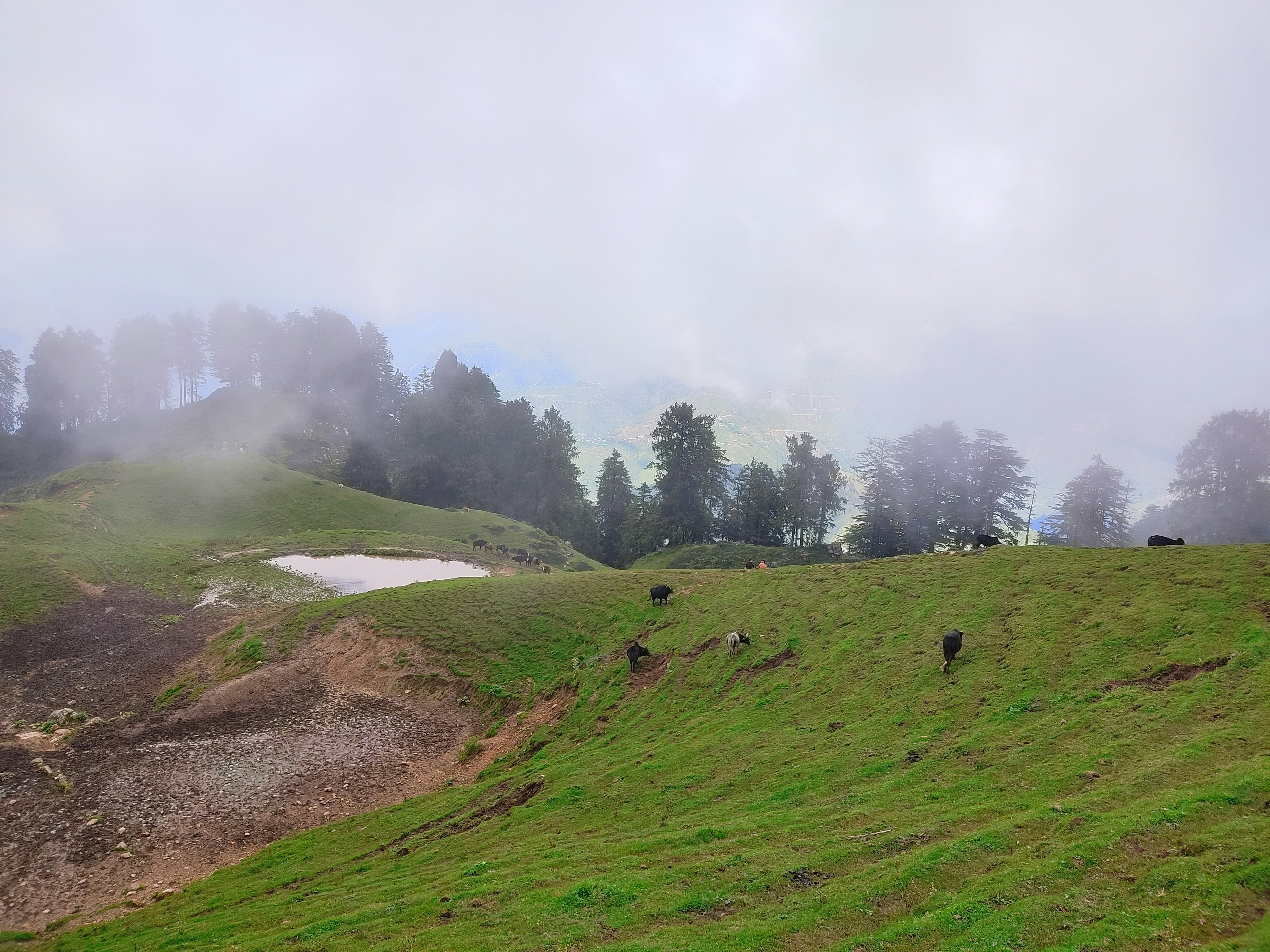 Haldwani to Kausani: Switzerland of India