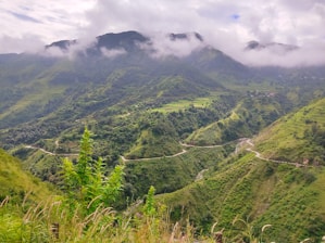 A lush green hillside covered in lush green hills