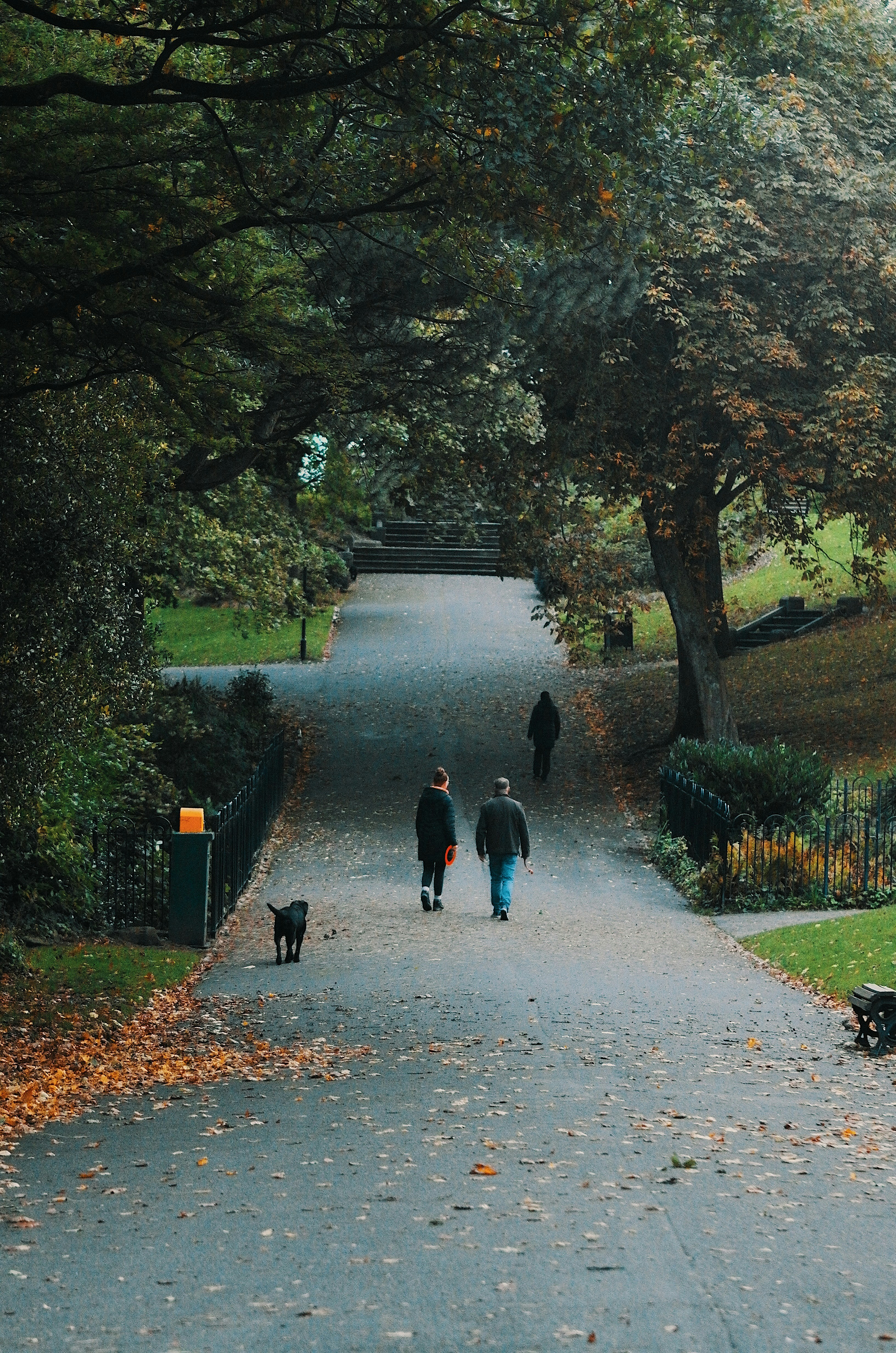A couple of people walking a dog down a path