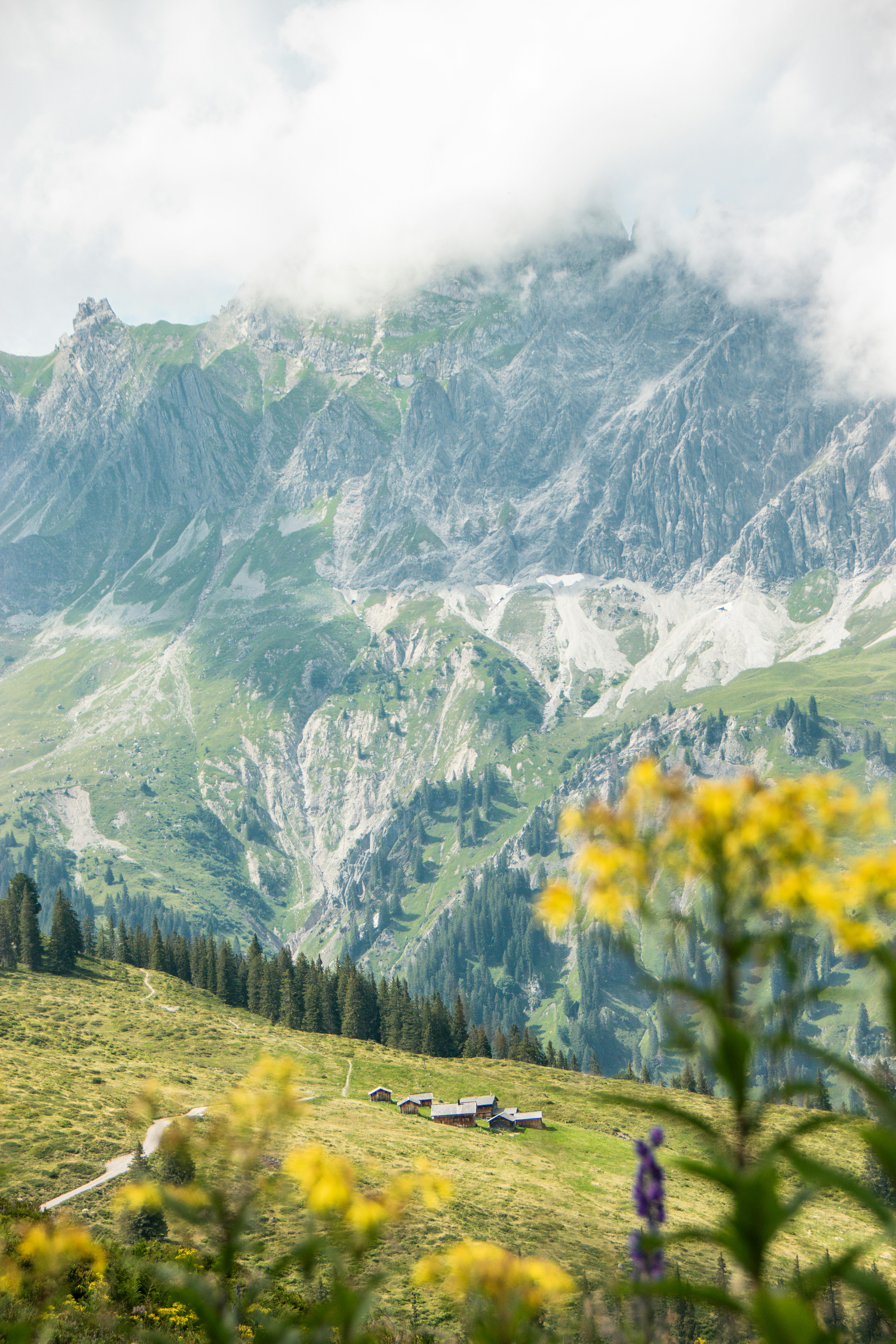 Photo by tabeaschimpf