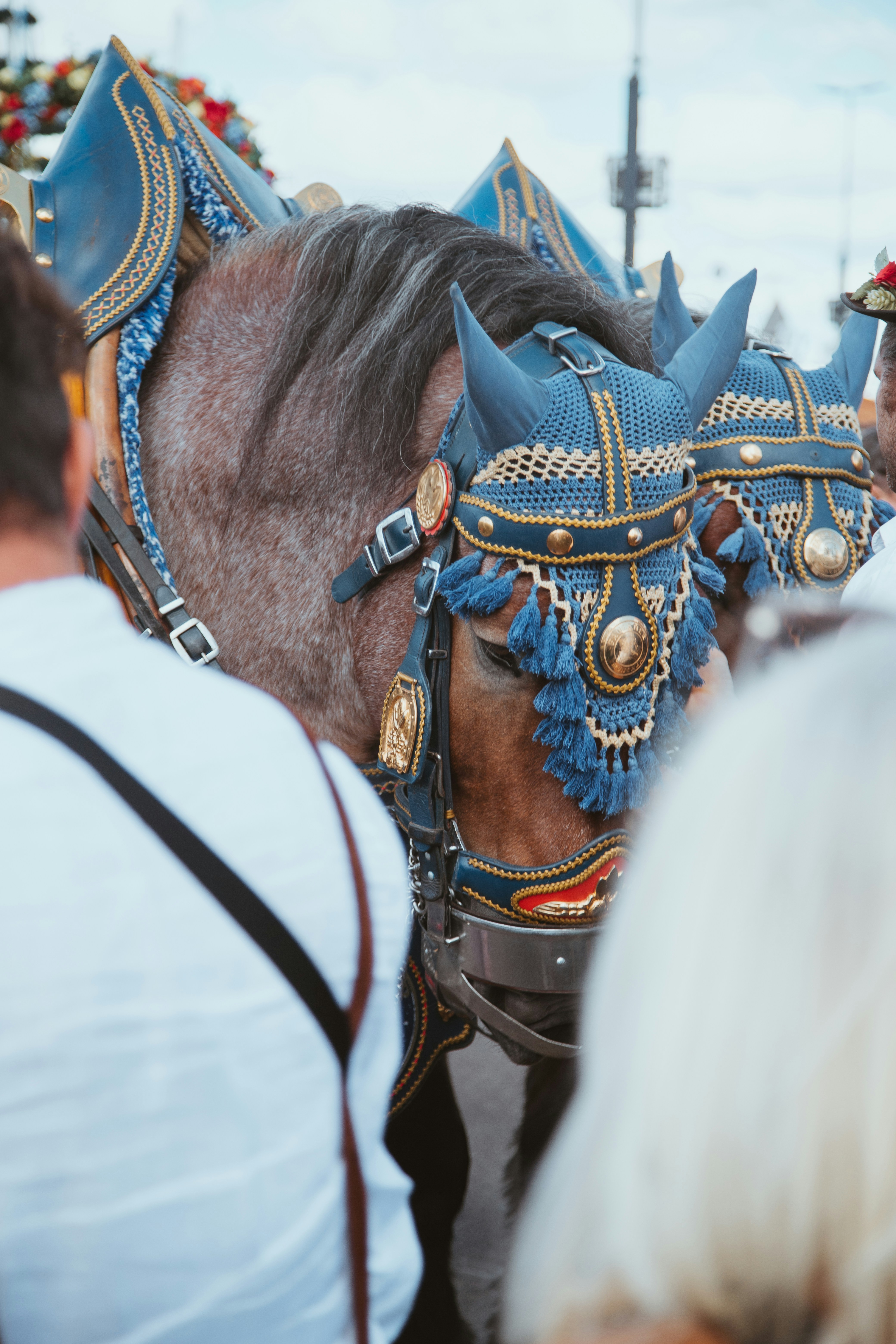 Photo by shutter_speed_