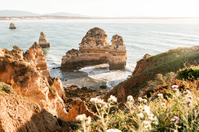 Best Laptop Friendly Cafes in Algarve With Fast Wifi