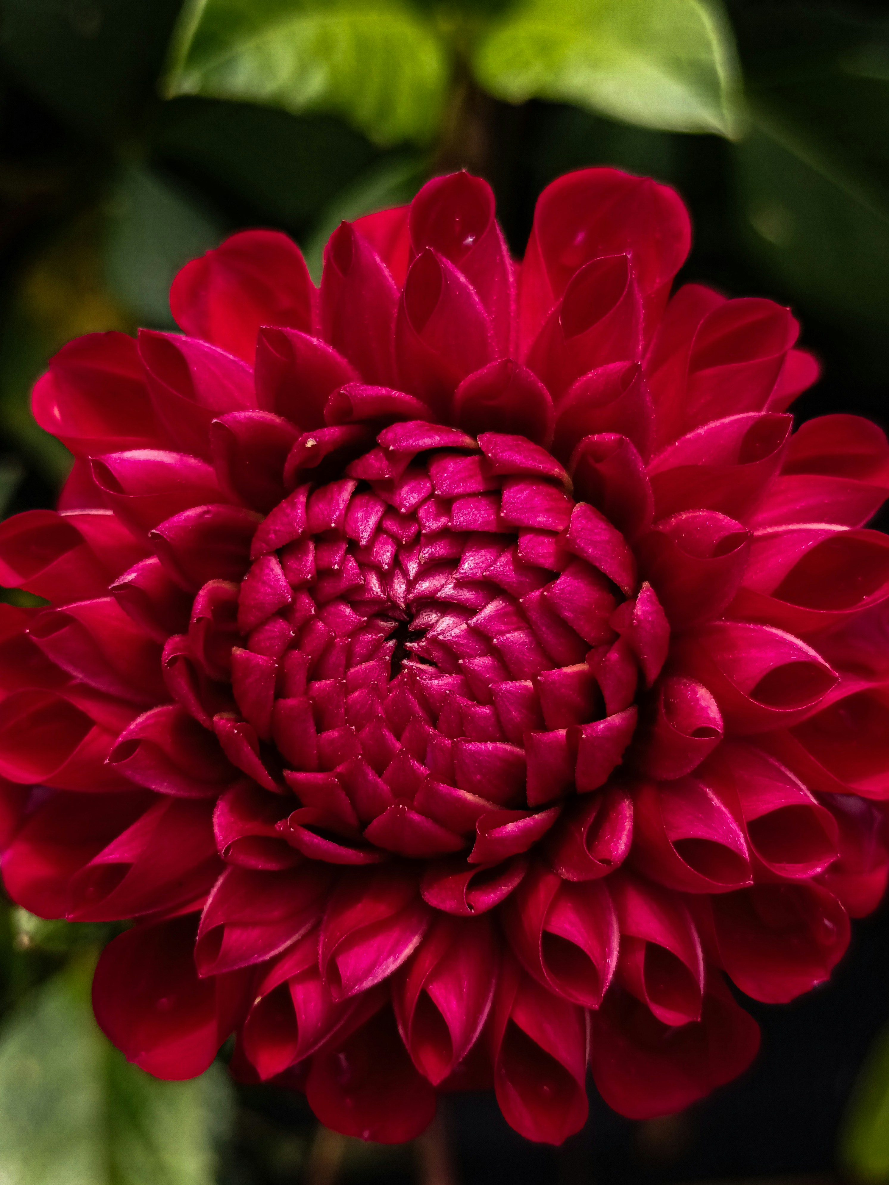 Photo by barbara_light