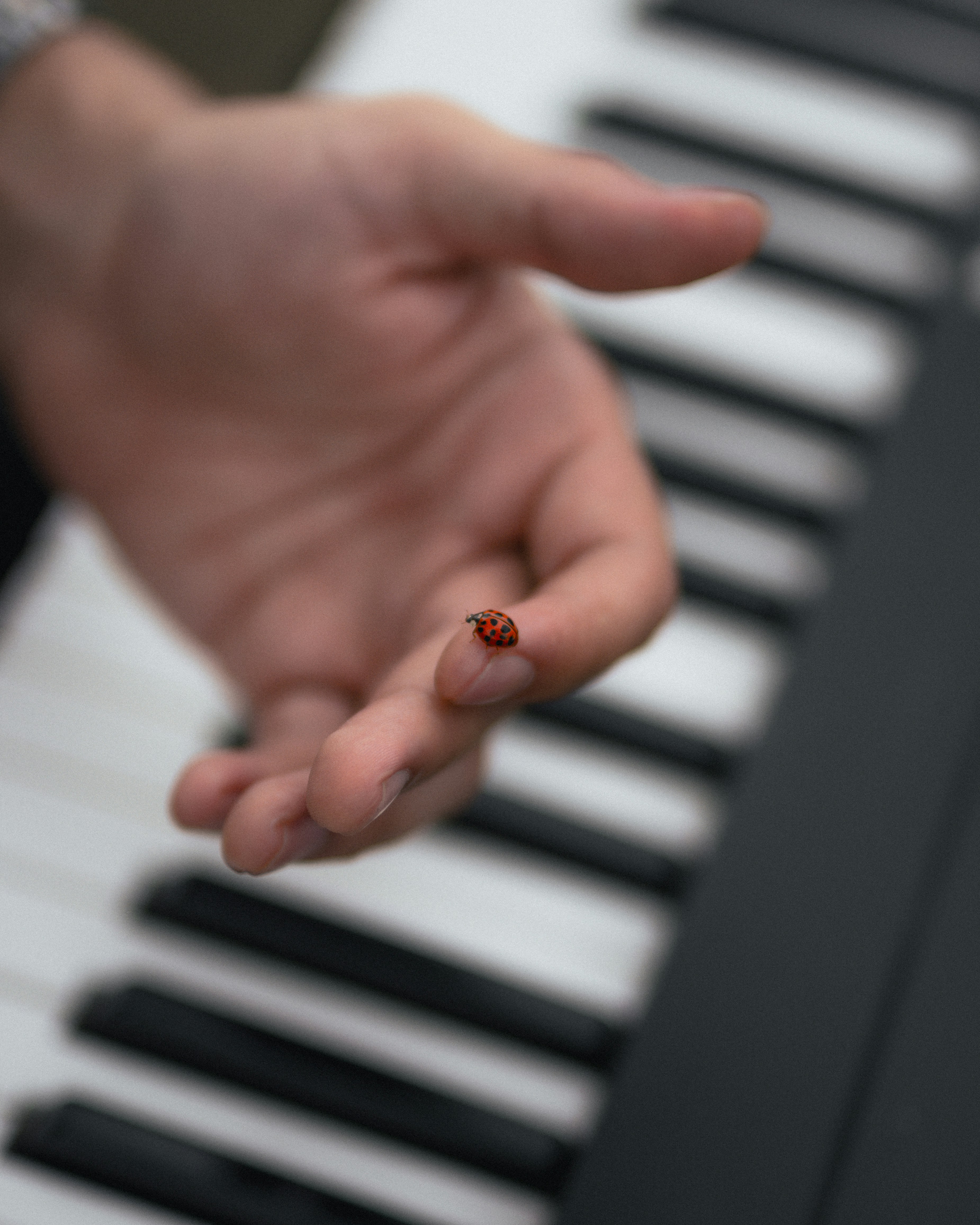 A person holding a tiny red object in their hand