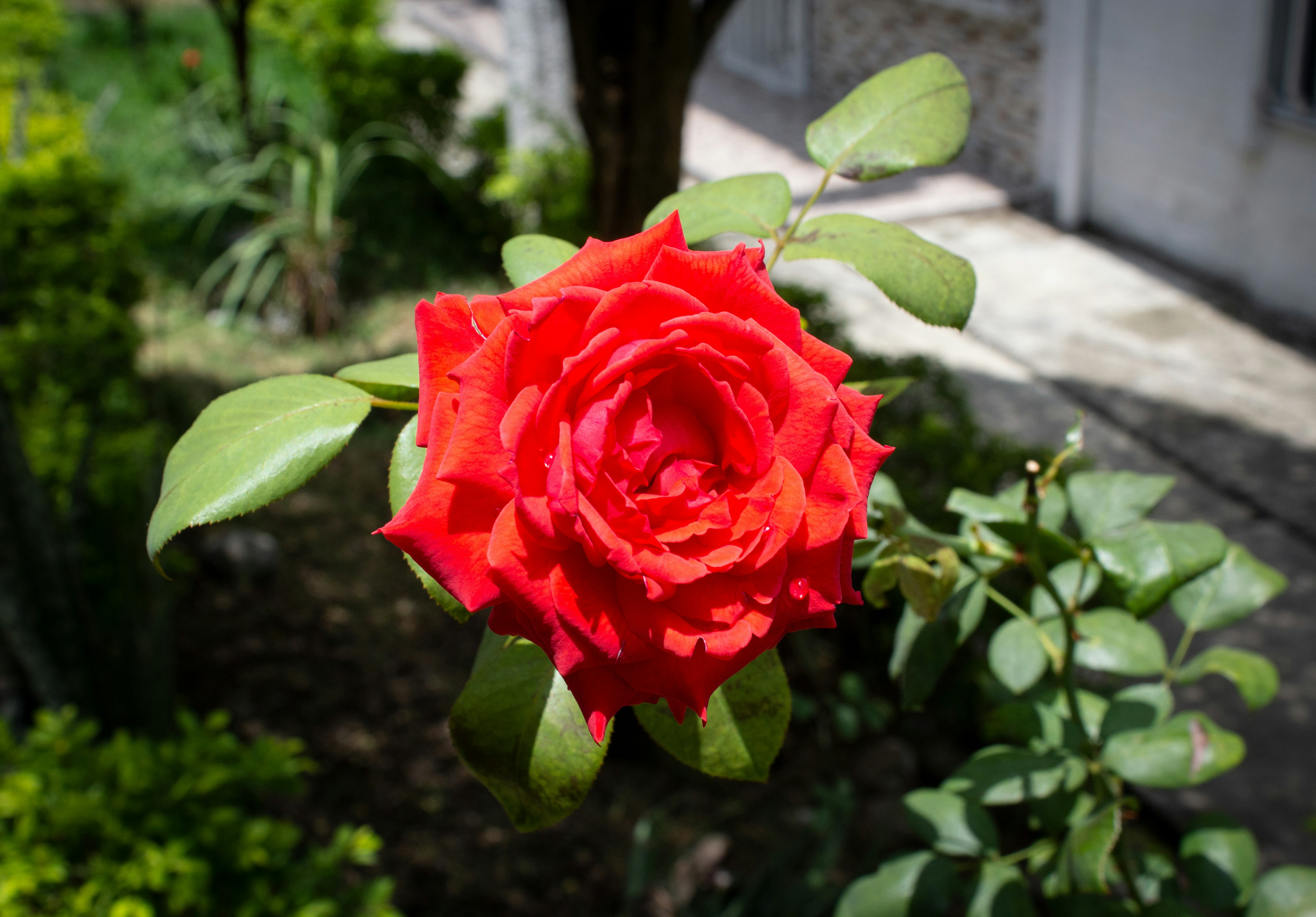 Photo by fundrisingformysonmedicalcondition