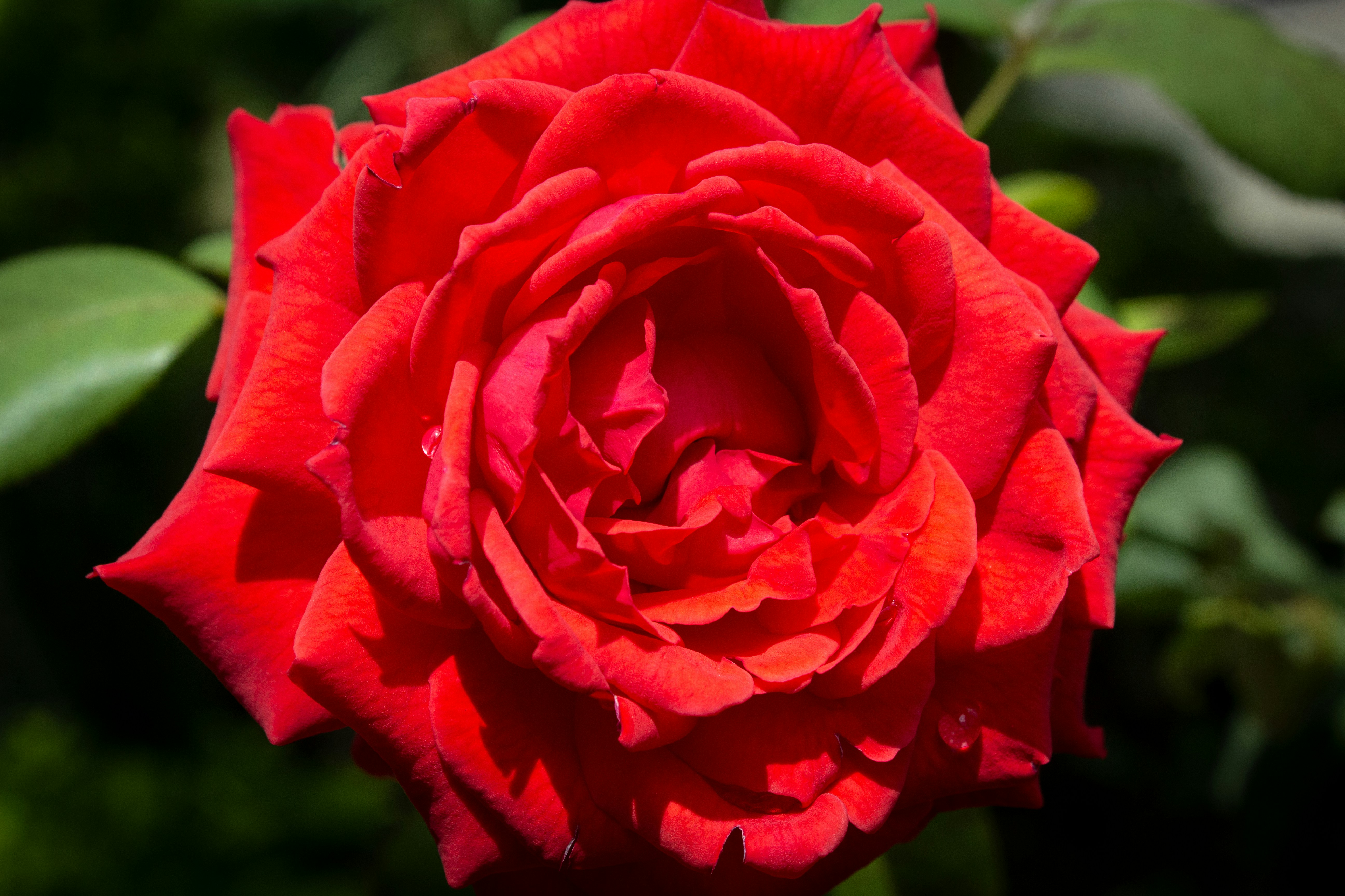 Photo by fundrisingformysonmedicalcondition