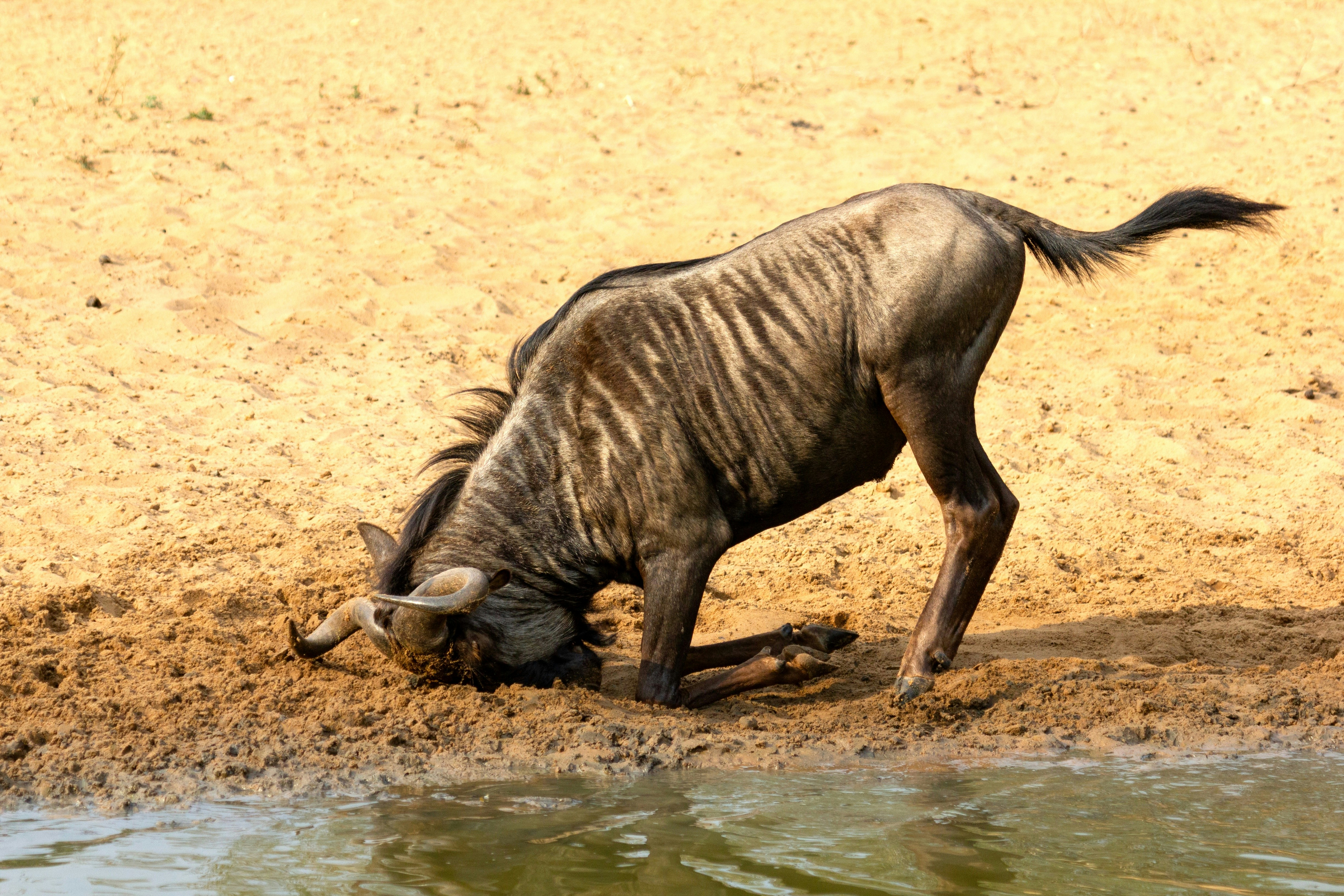 7 Using Saliva or Sweat (image credits: unsplash)