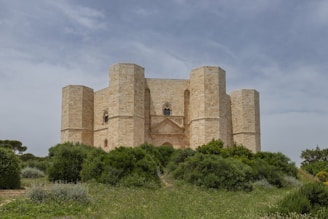 A large building with a tower in the middle of a field