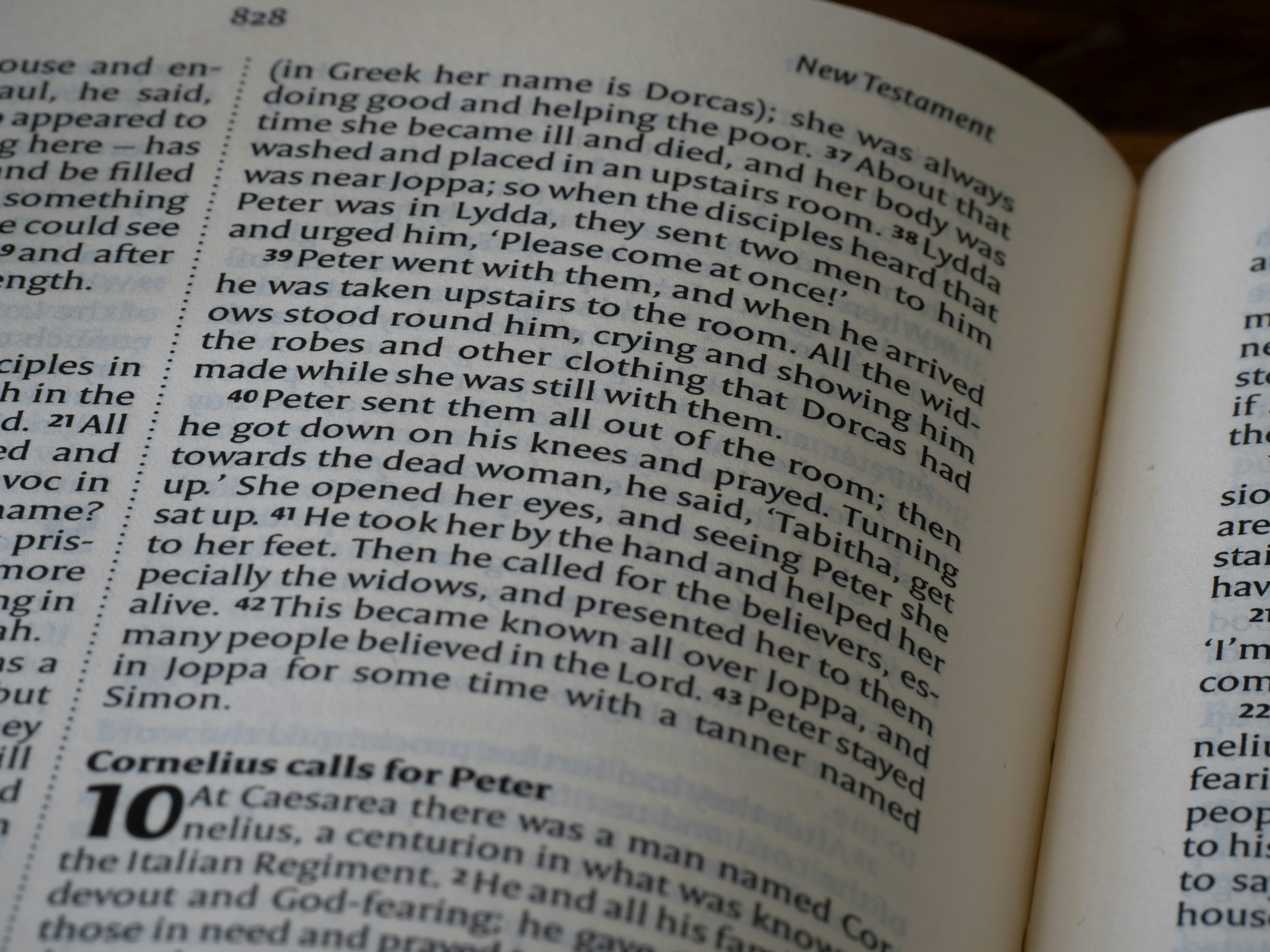 Bugün öğrendim ki: Nancy Drew The Hardy Boys...