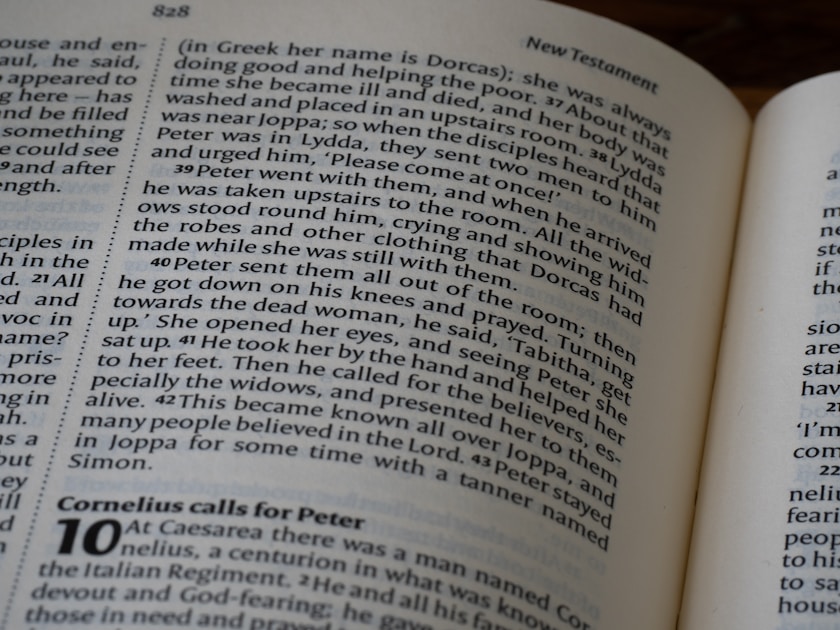 Steve Bannon Contempt Case Dismissed: What Your Legal Loyalty Reveals About Your Personality