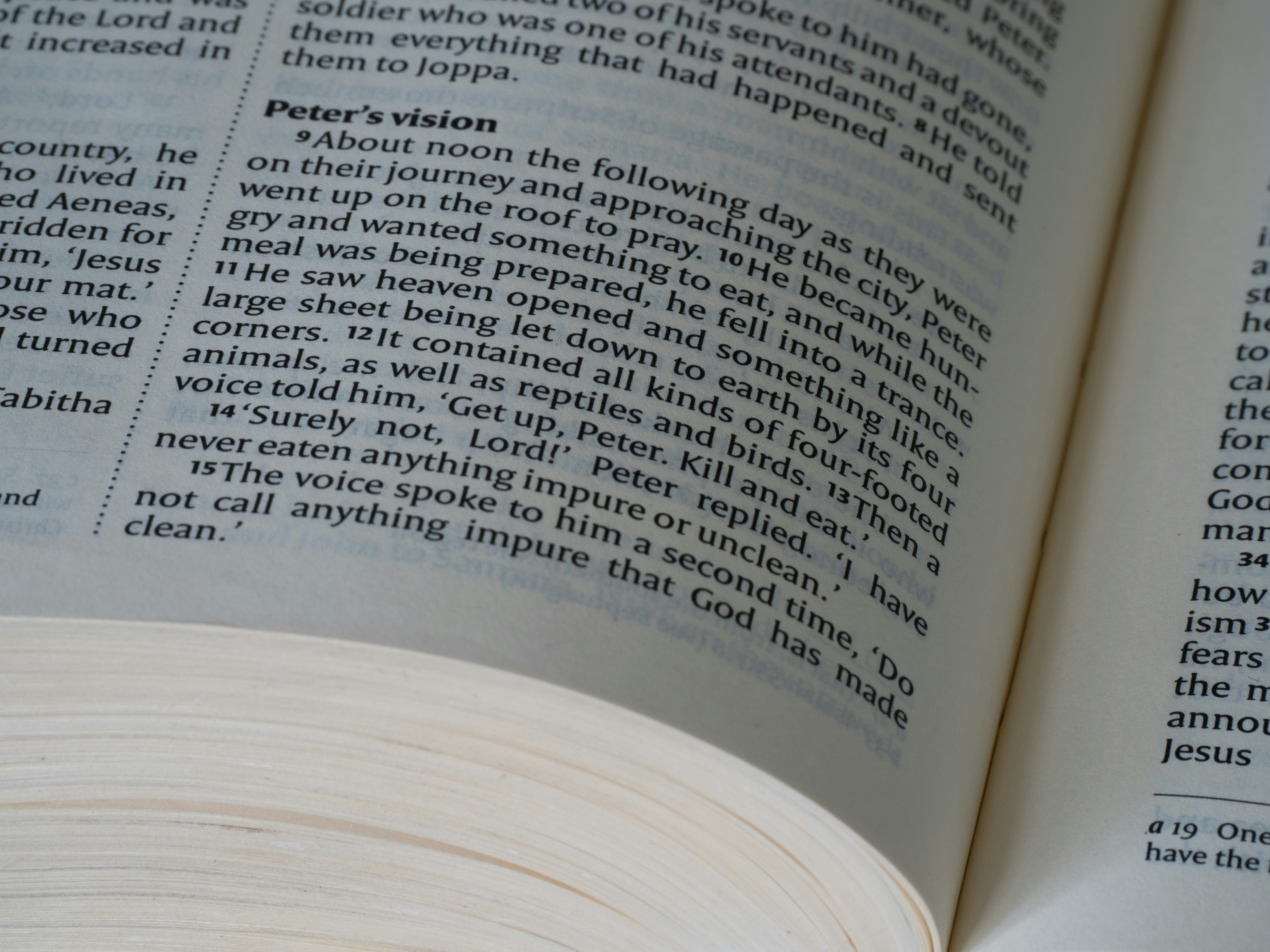 Photo by brett_jordan