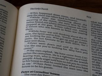 A close up of an open book on a table