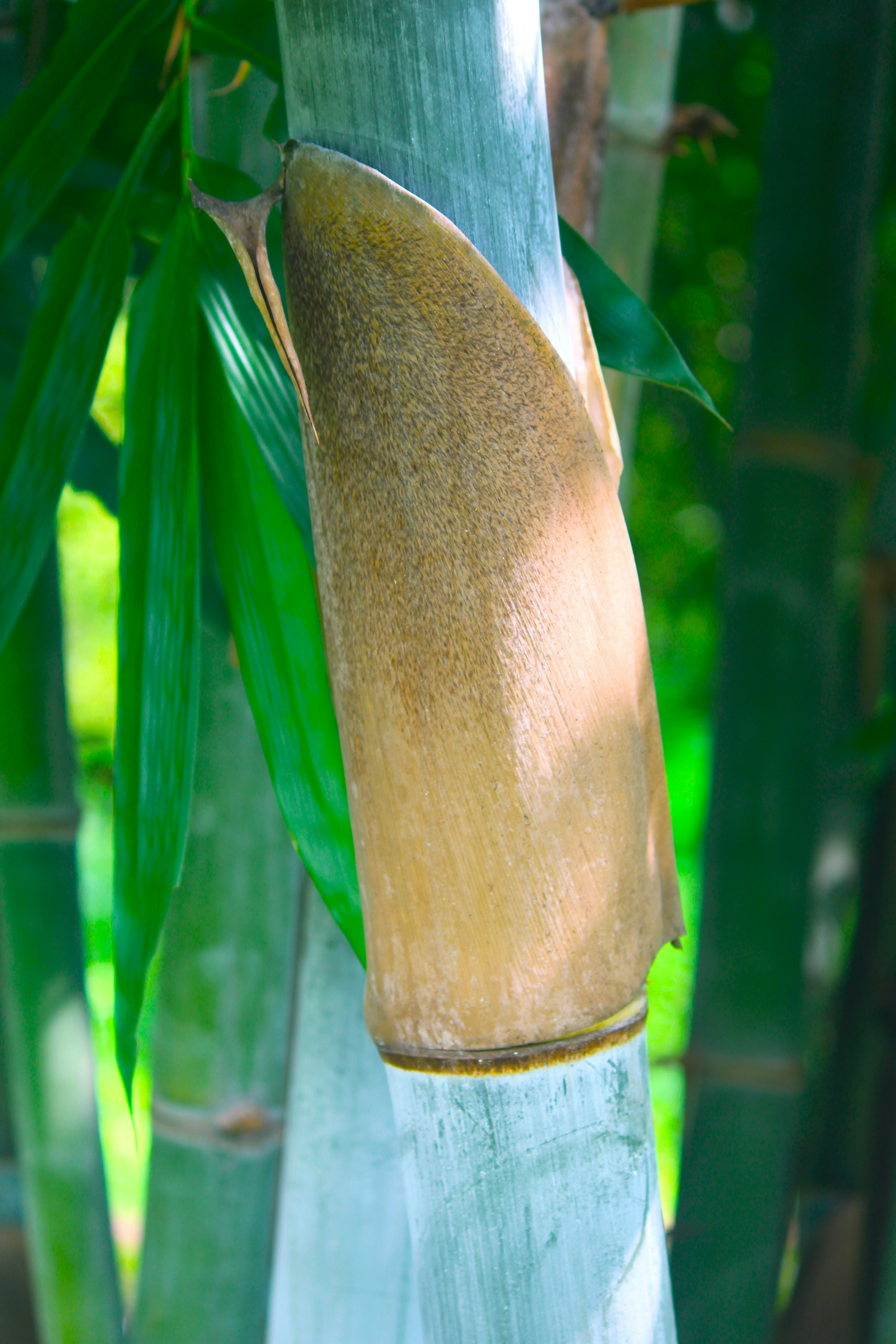 Photo by manoj_poosam