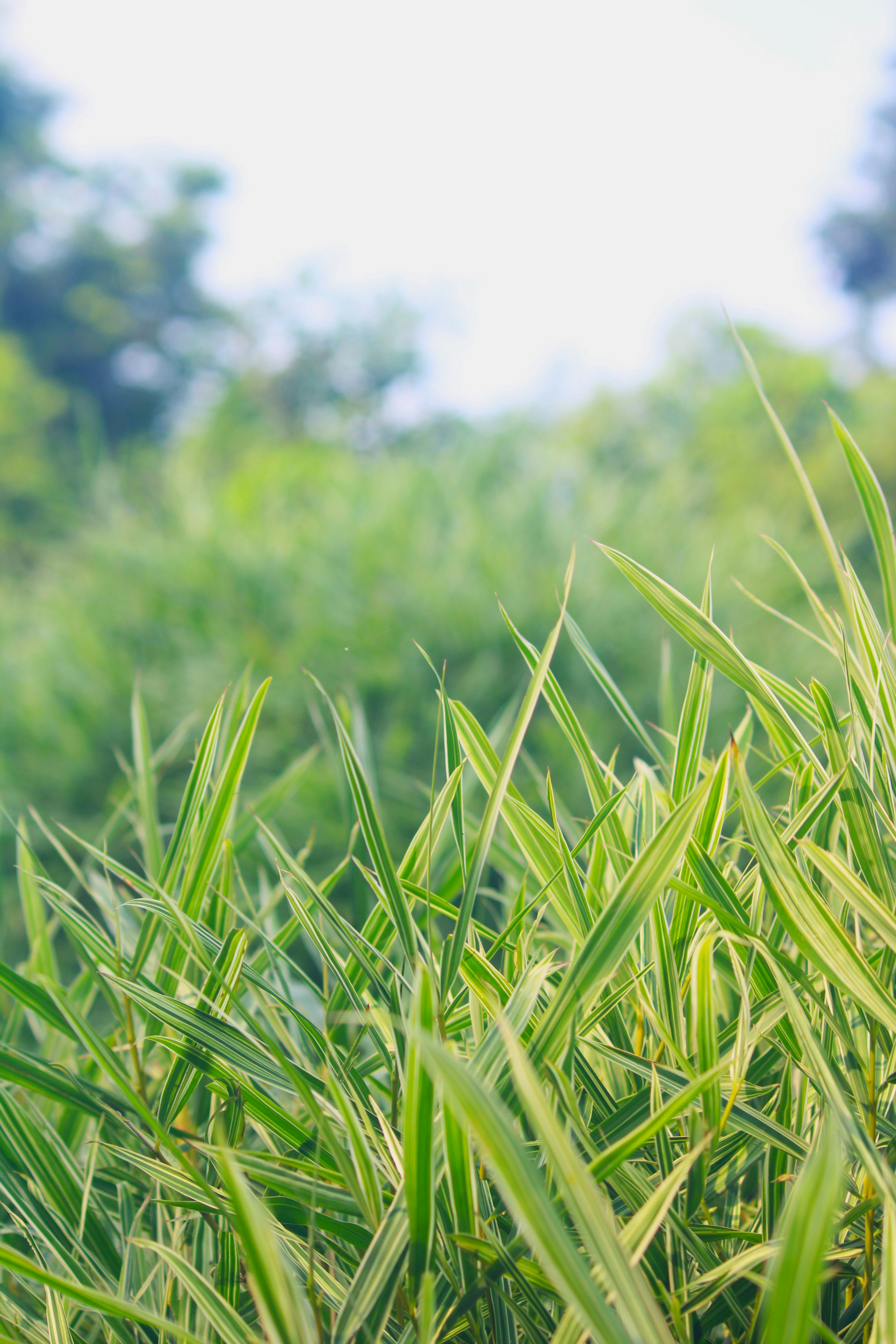 Photo by manoj_poosam