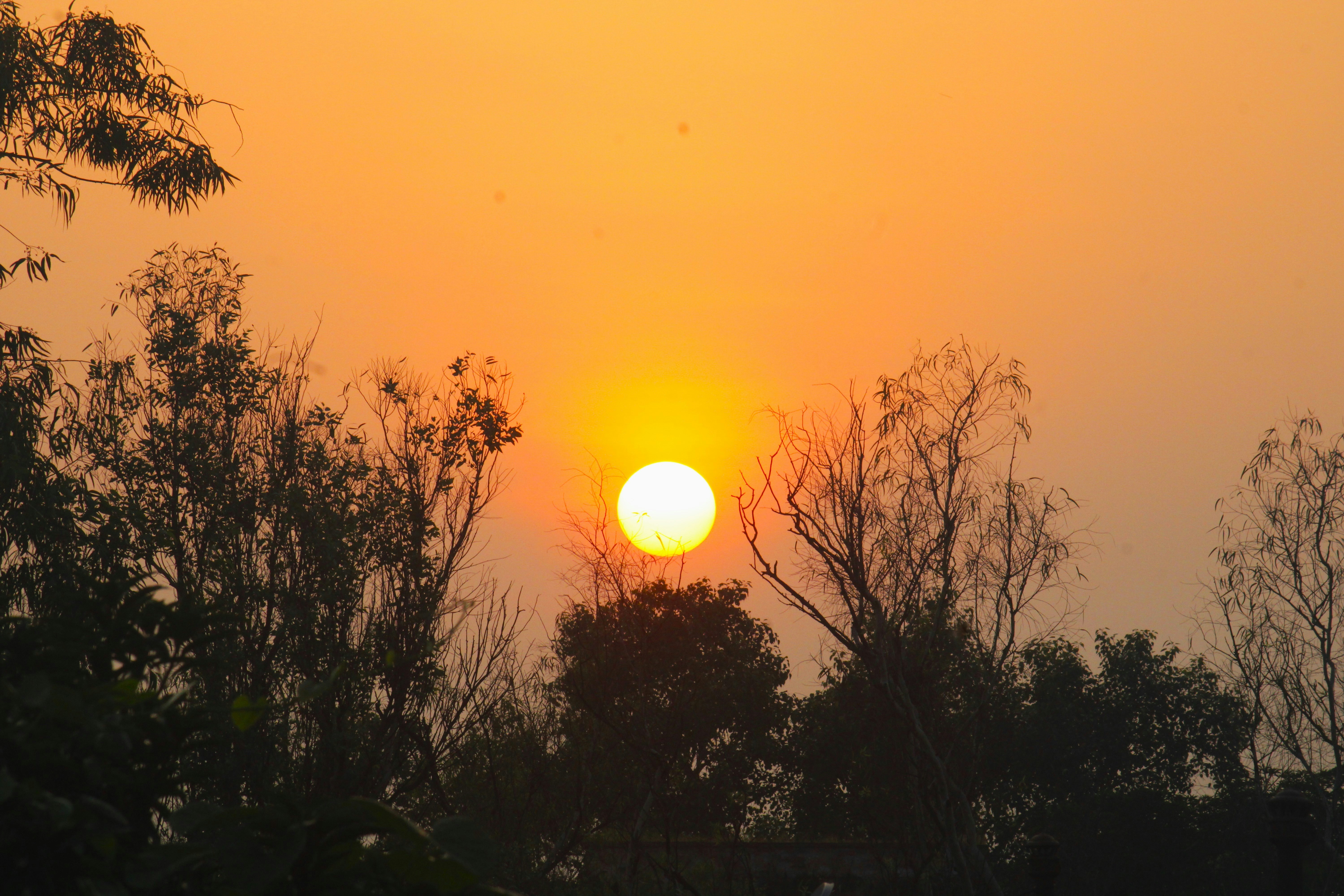 Photo by manoj_poosam