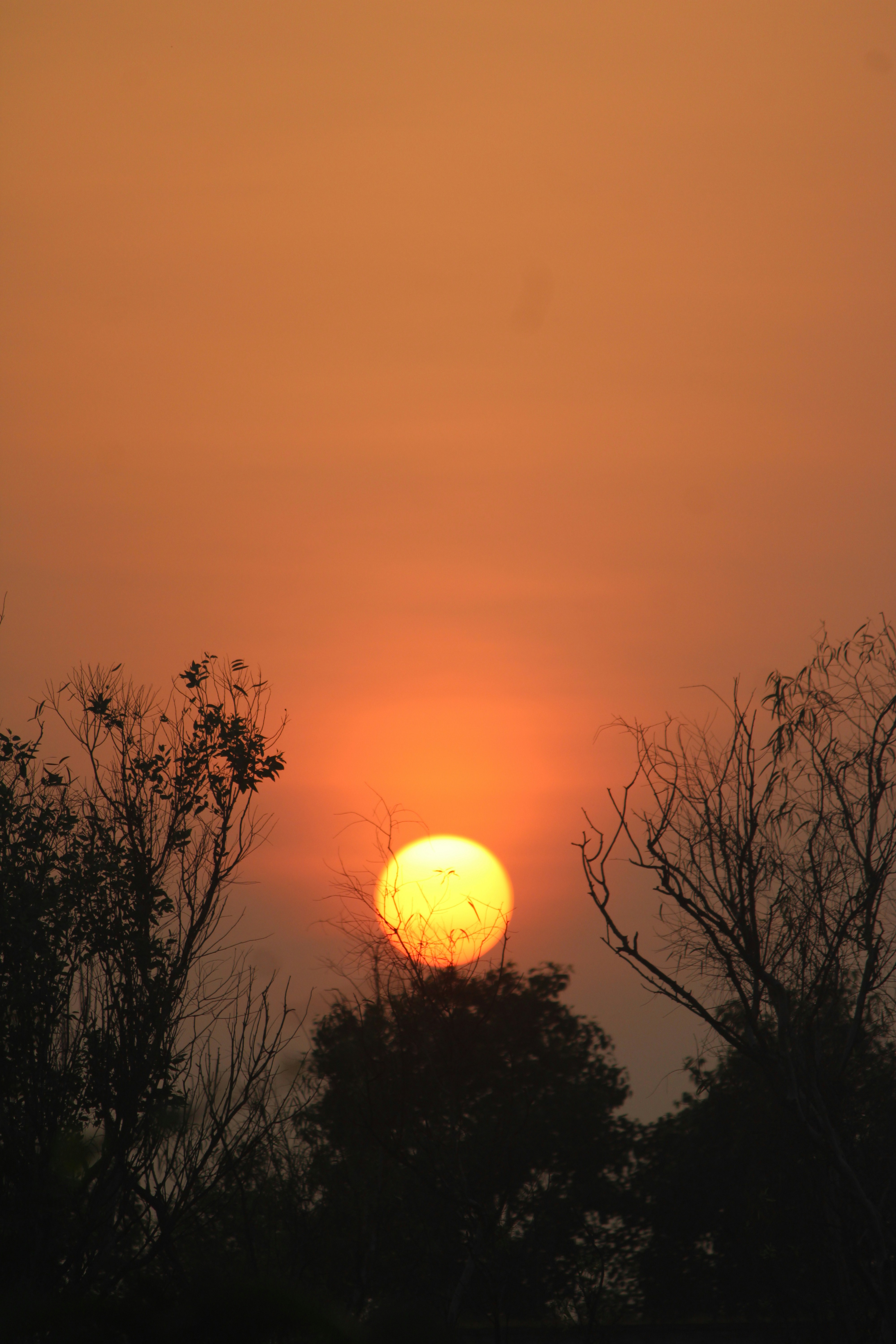 Photo by manoj_poosam