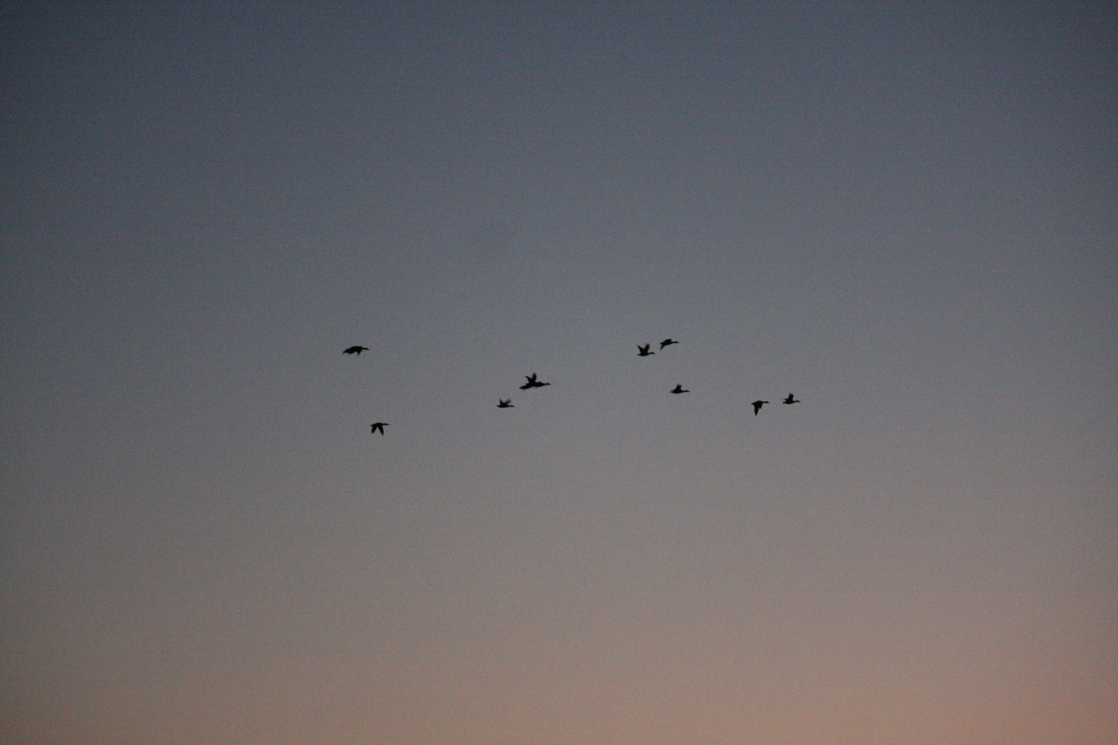 Photo by hashcode_error