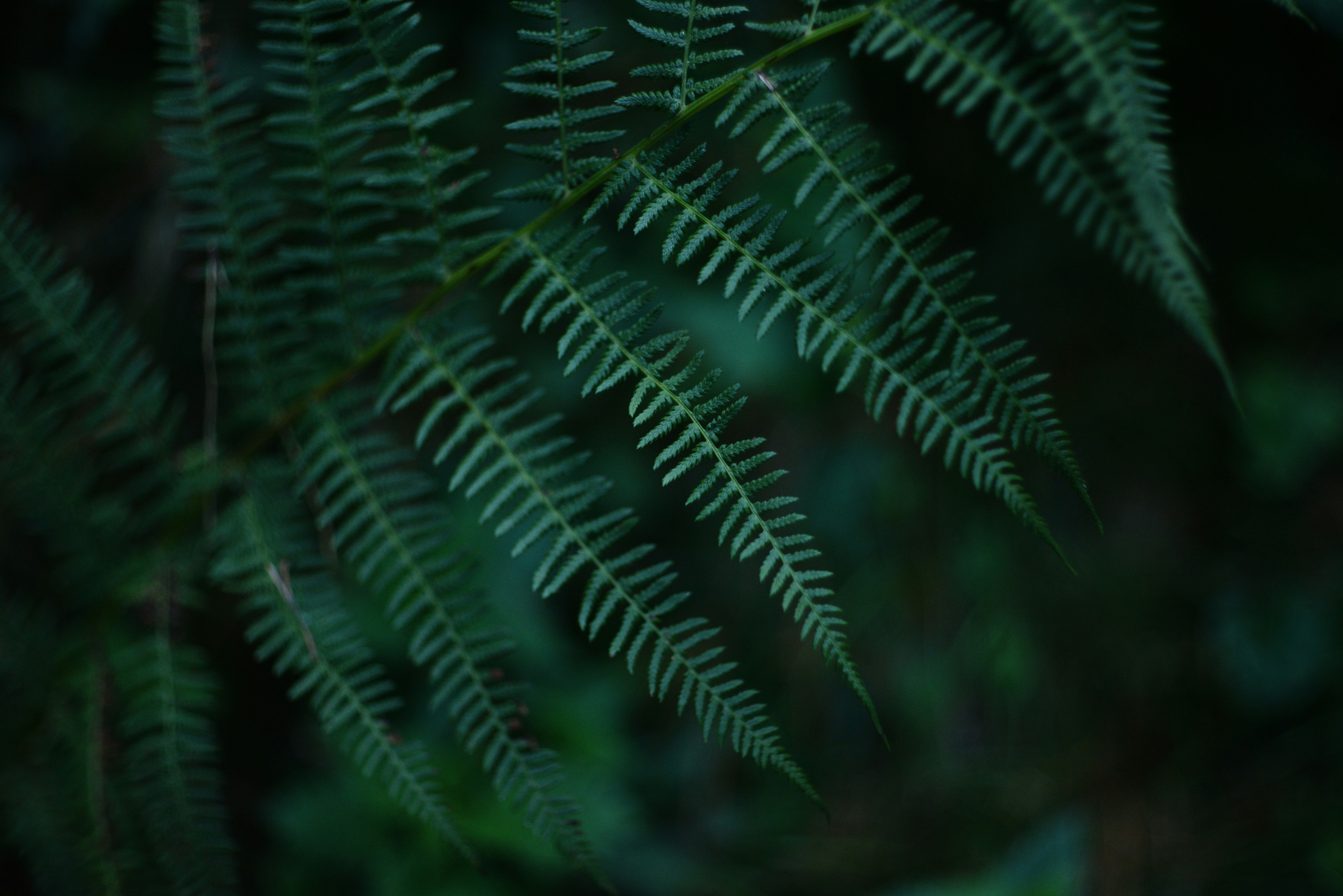 Photo by cherstve_pechivo