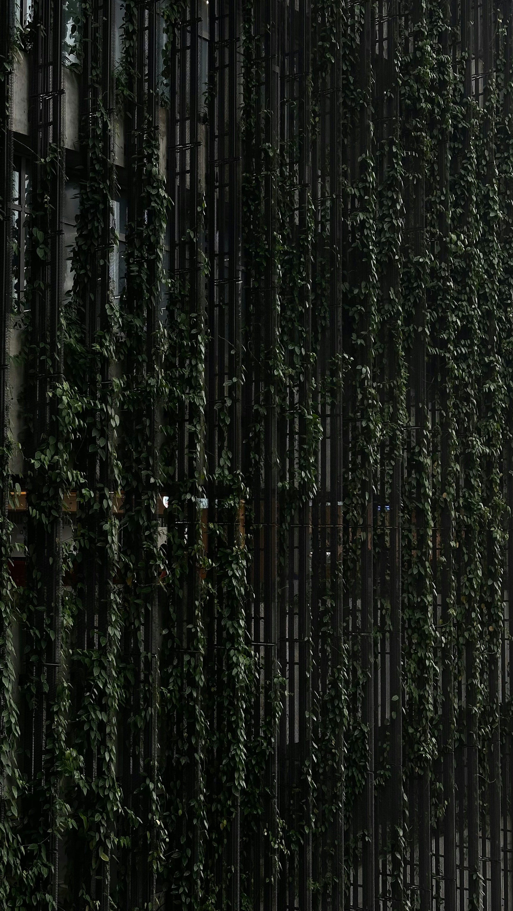 Photo by mohammad_samir