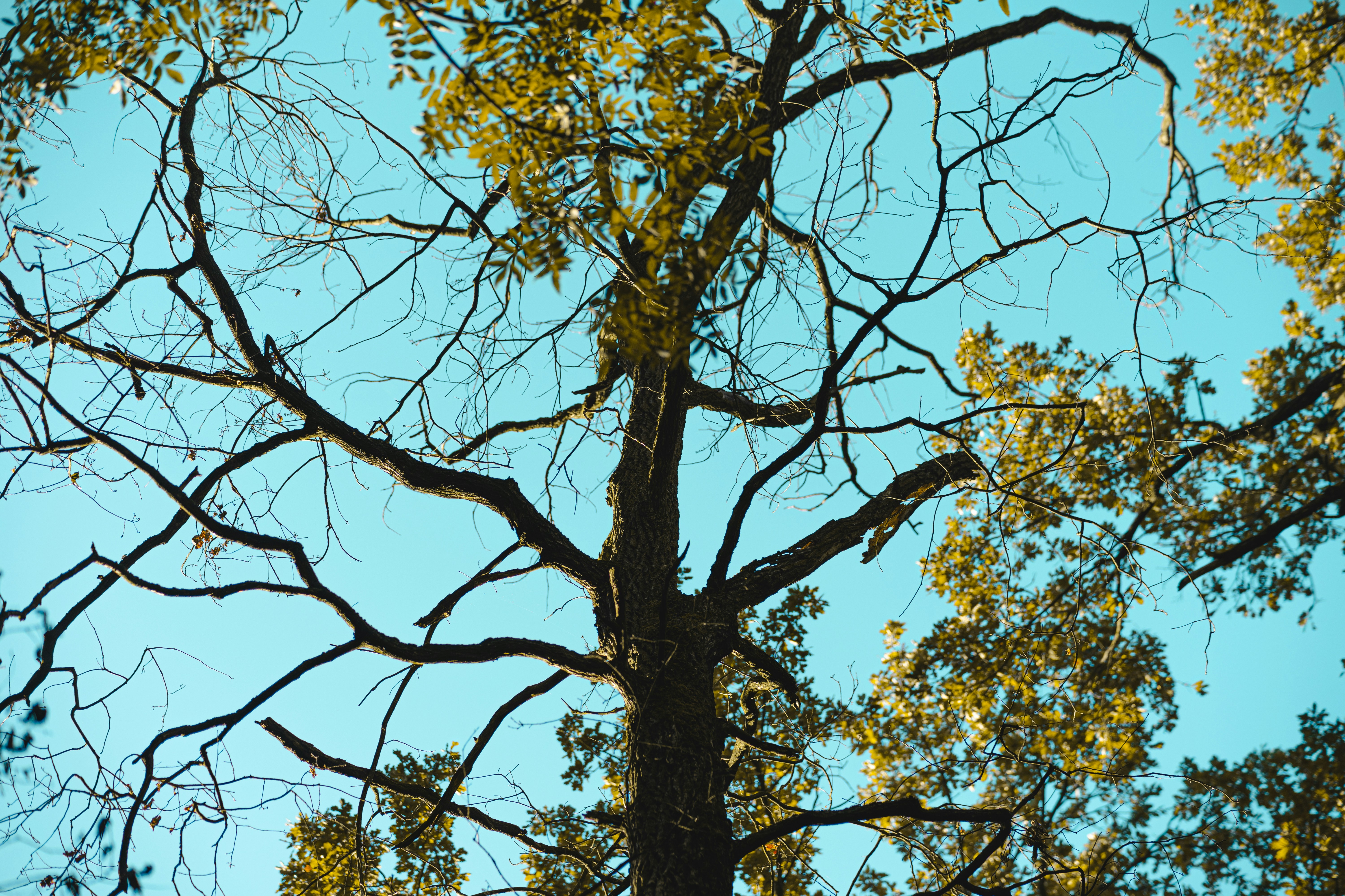 Photo by rosurazvi1995