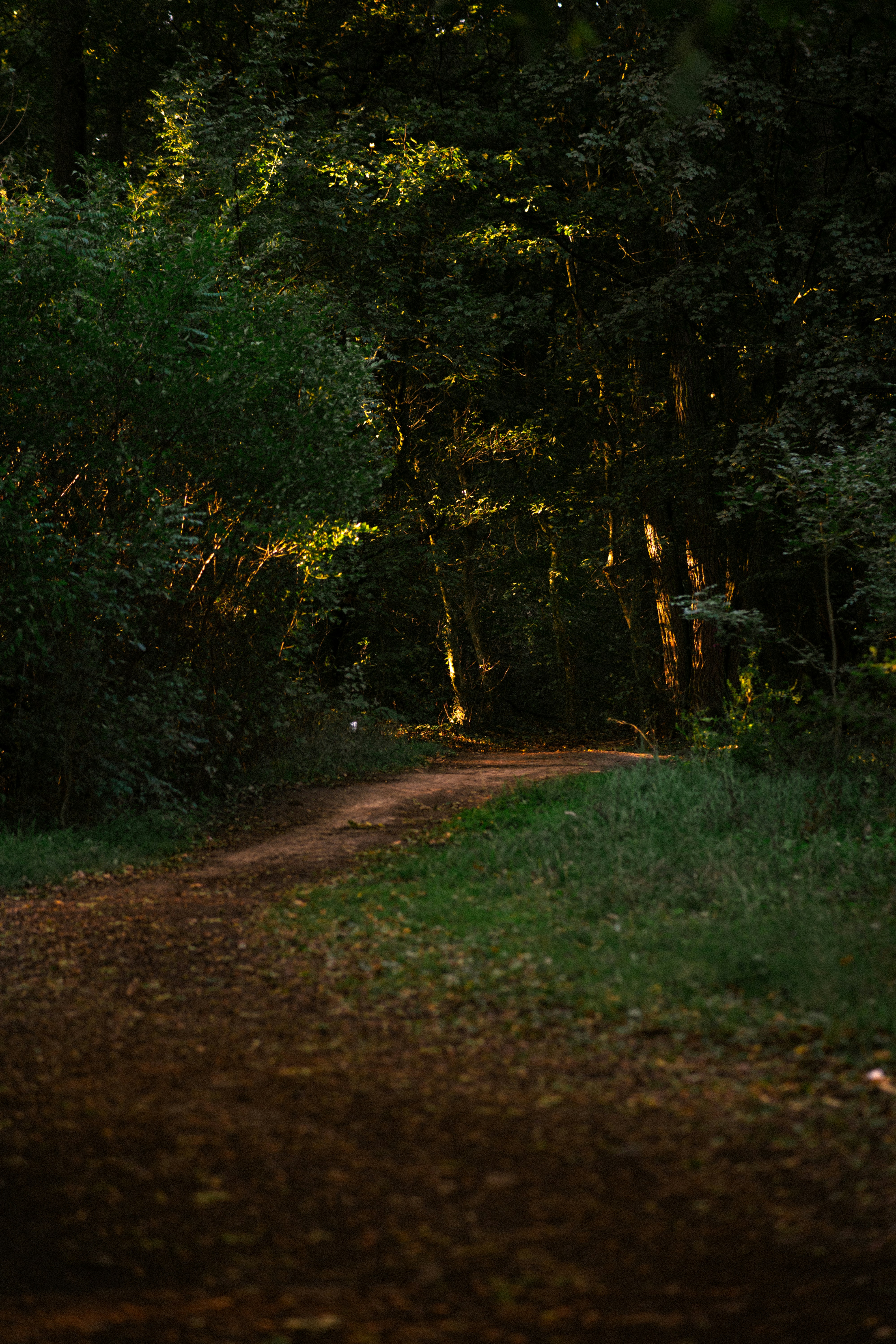 Photo by rosurazvi1995