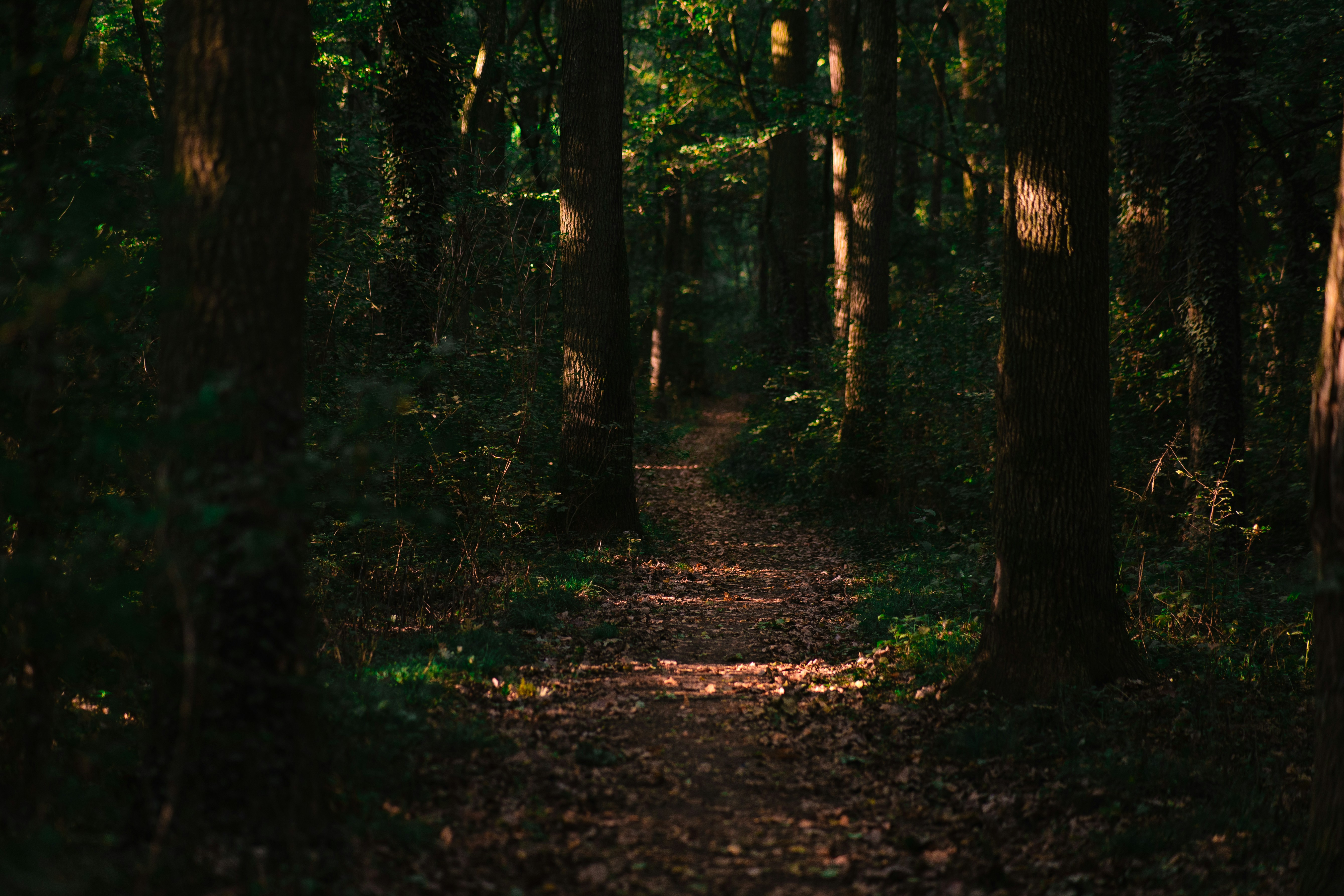 Photo by rosurazvi1995