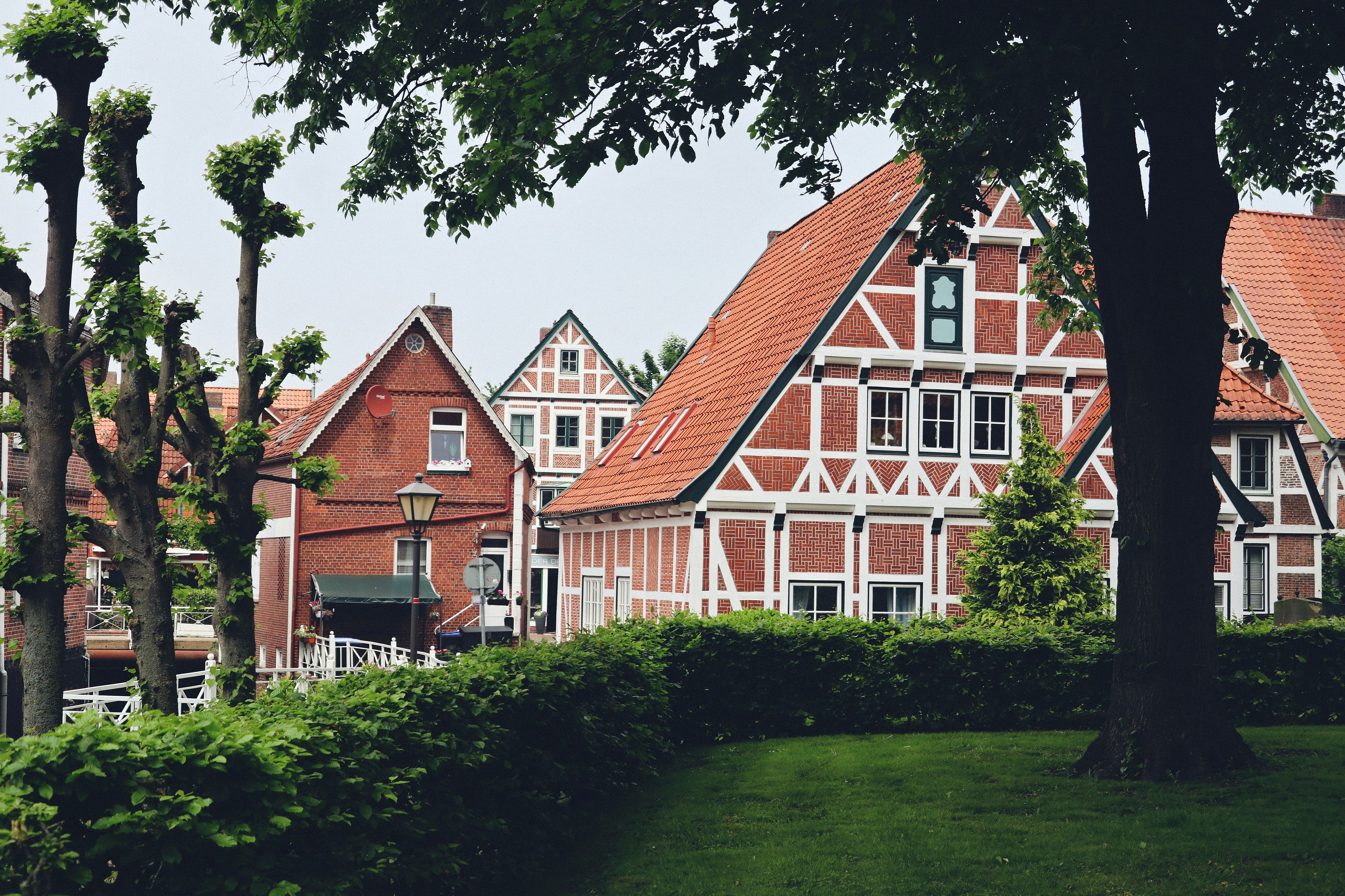 A row of houses sitting next to a lush green park
