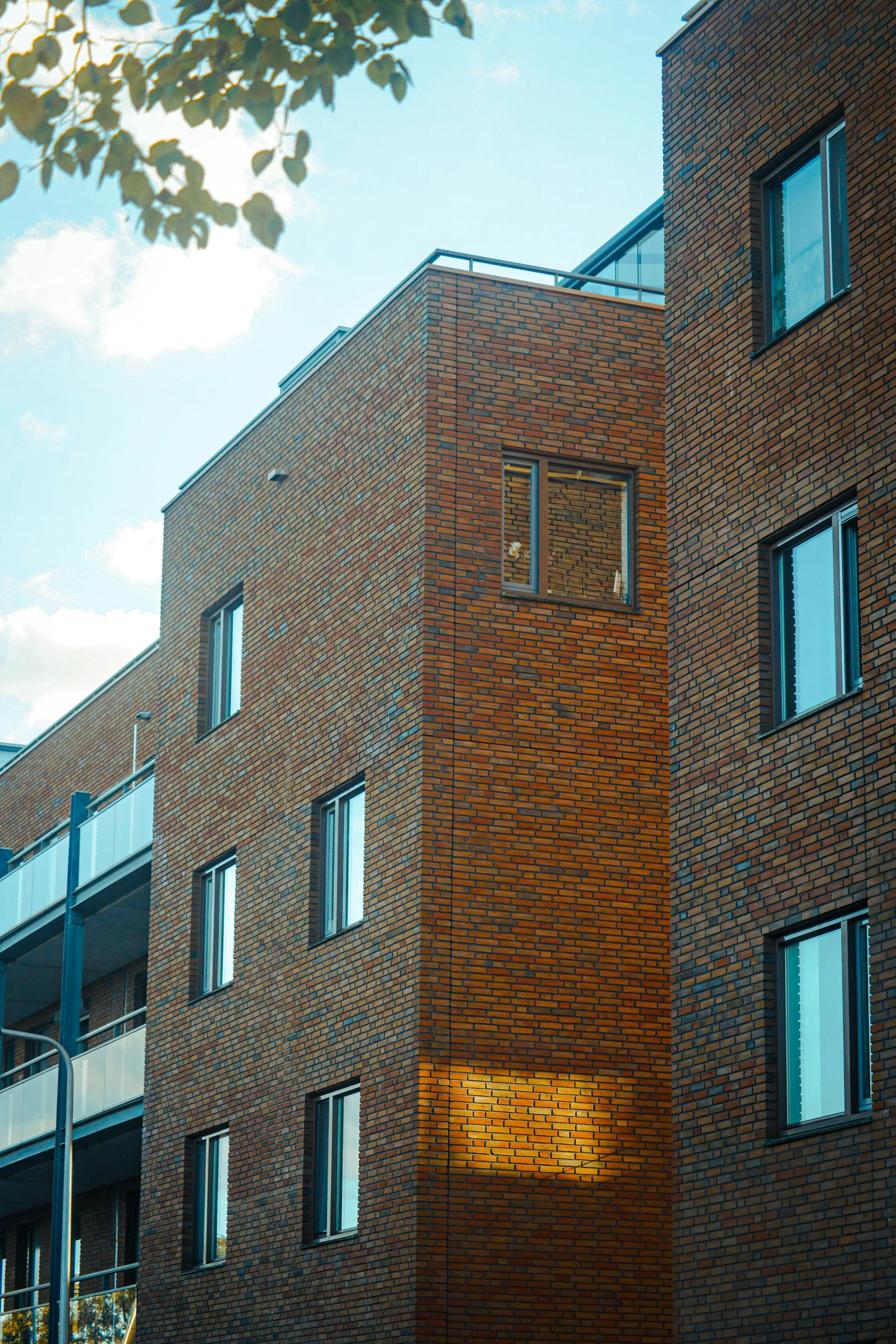 Photo by thomas_de_fretes