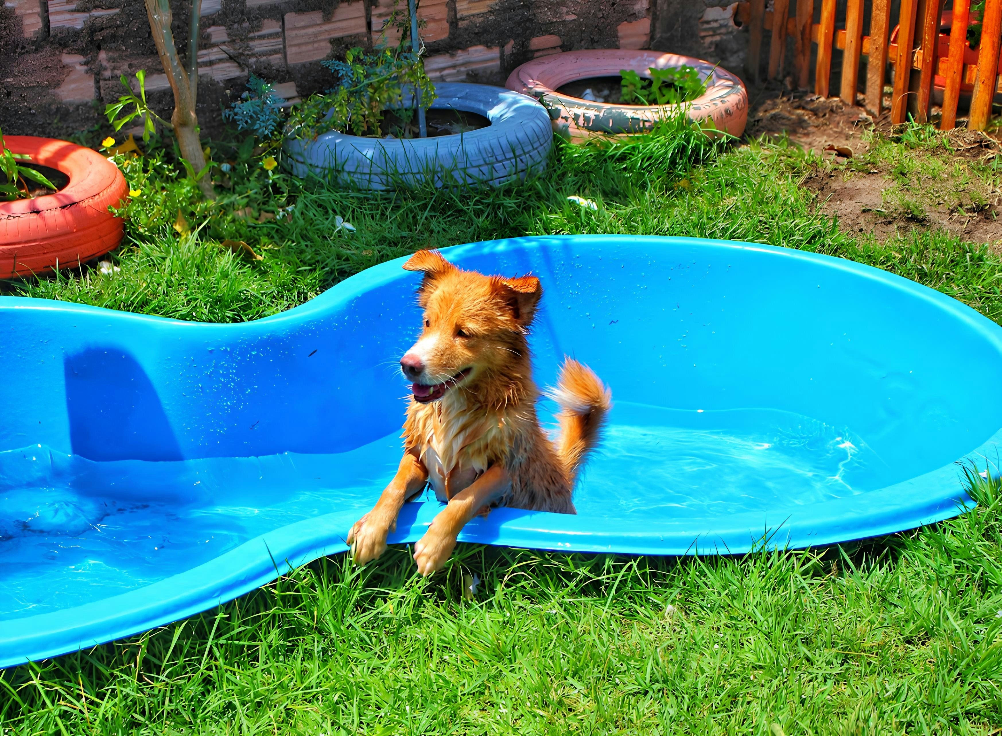 Goofy Pool