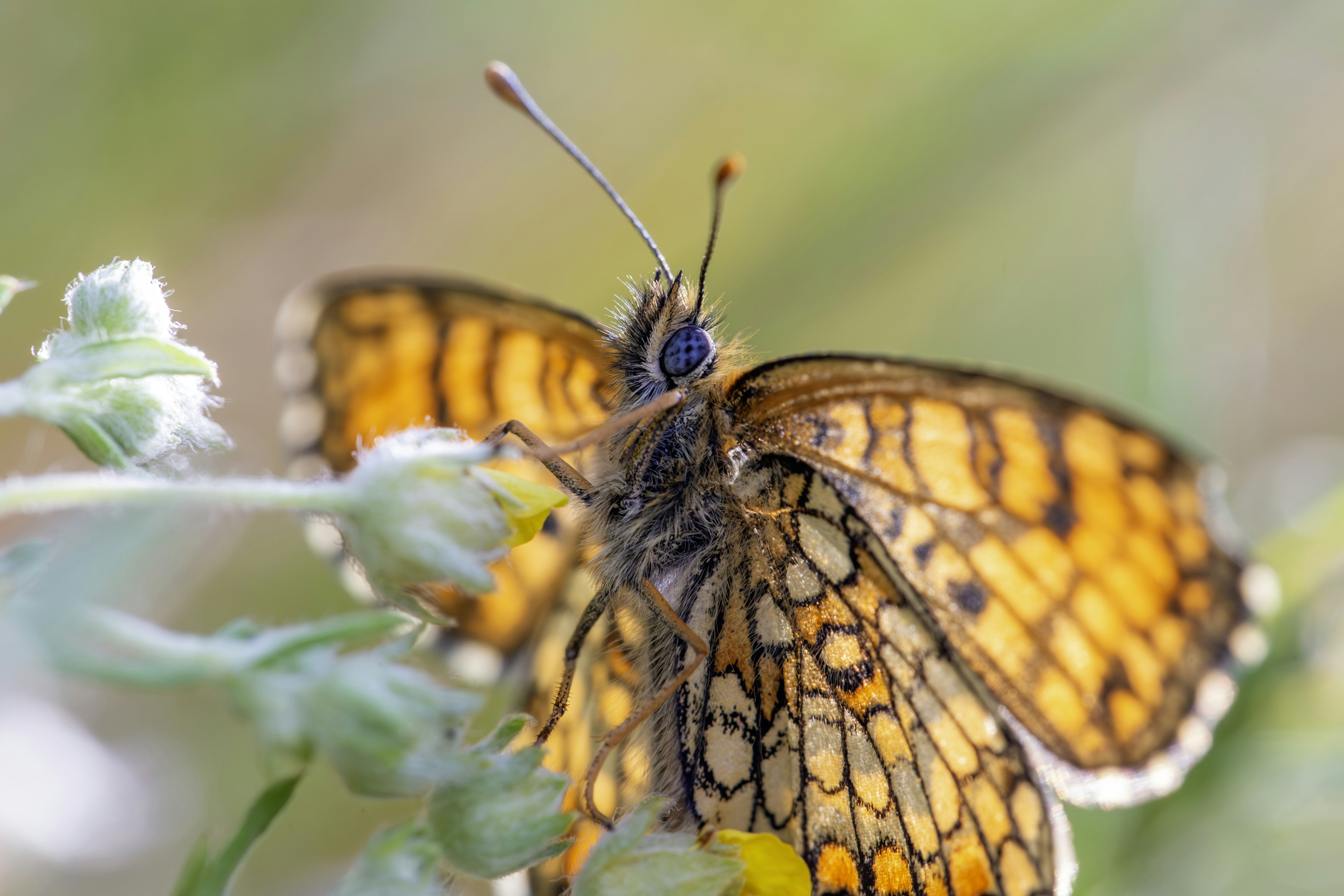 Photo by erik_karits