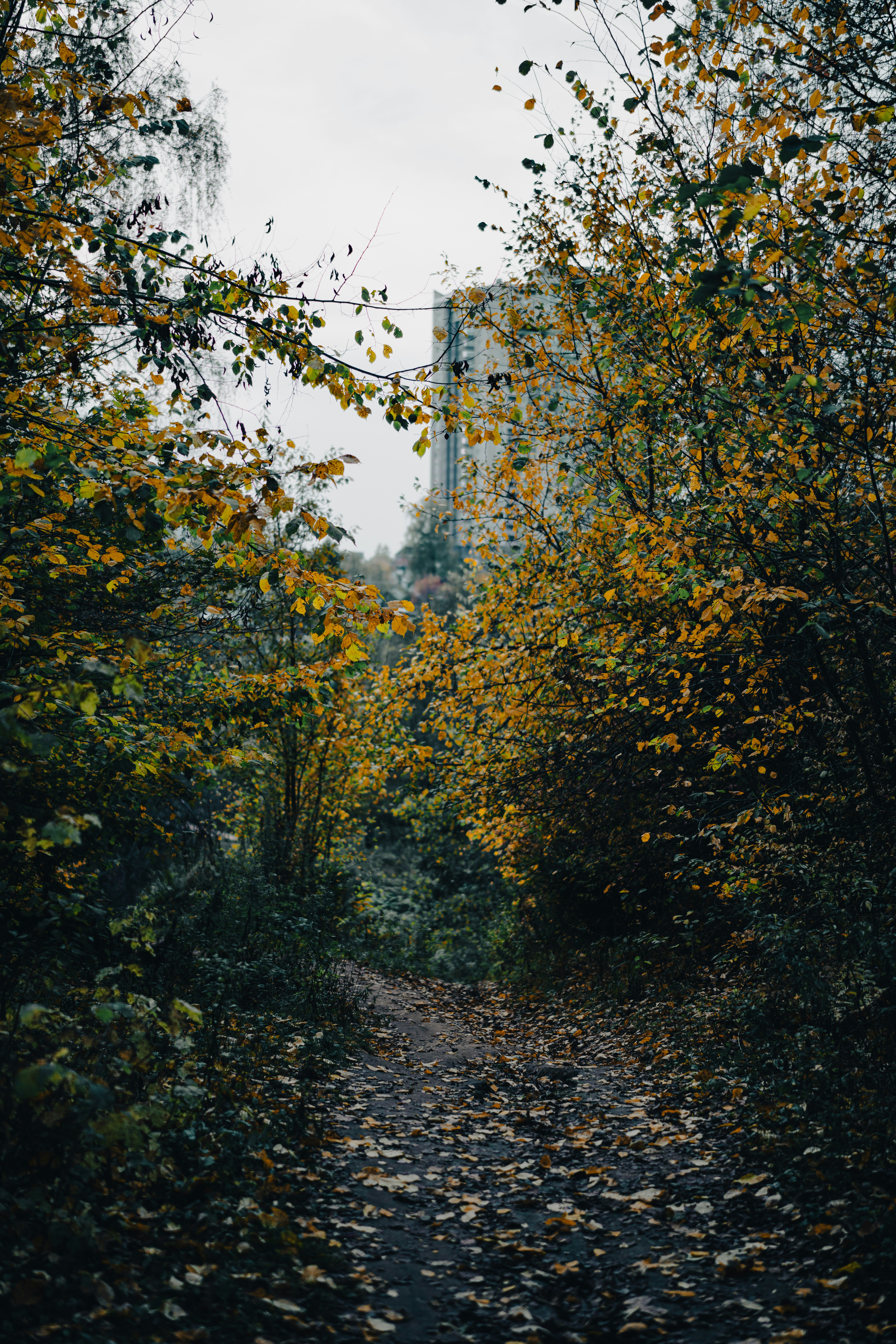 Photo by hellaren