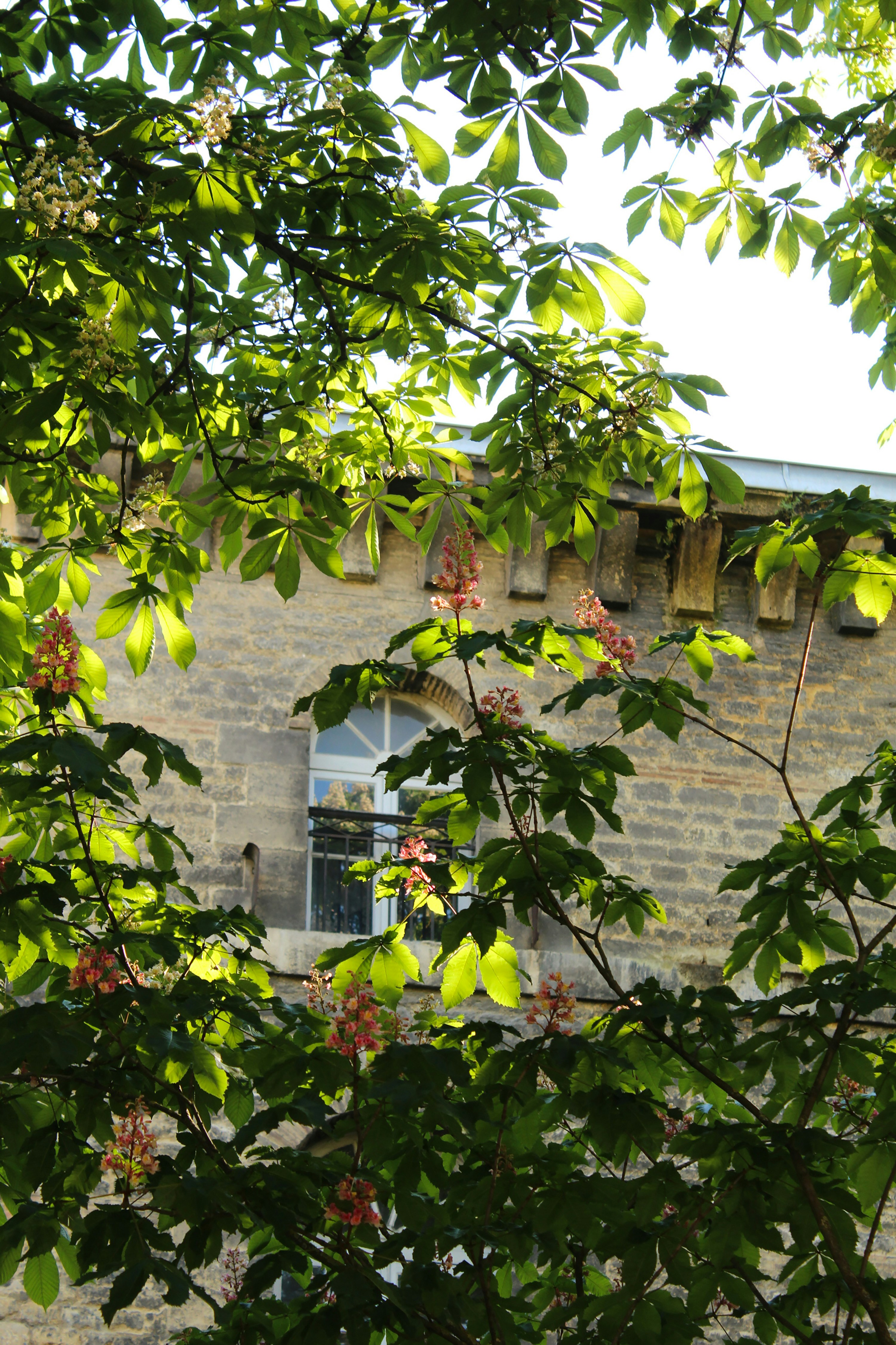 Photo by gillian_lee