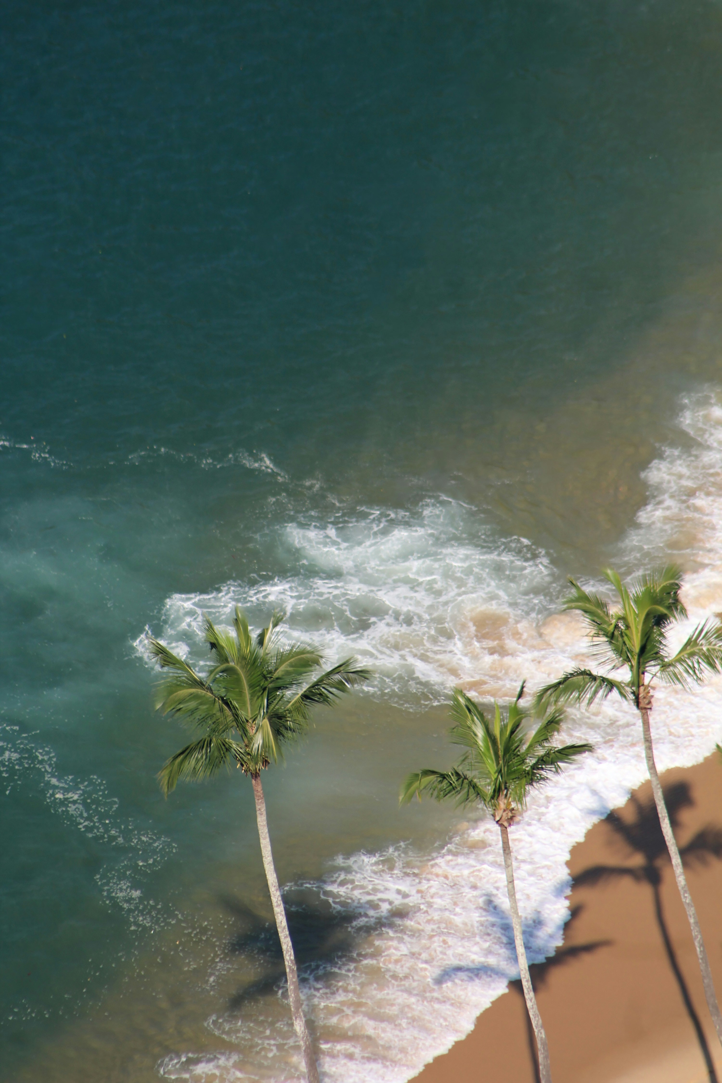 Photo by gillian_lee