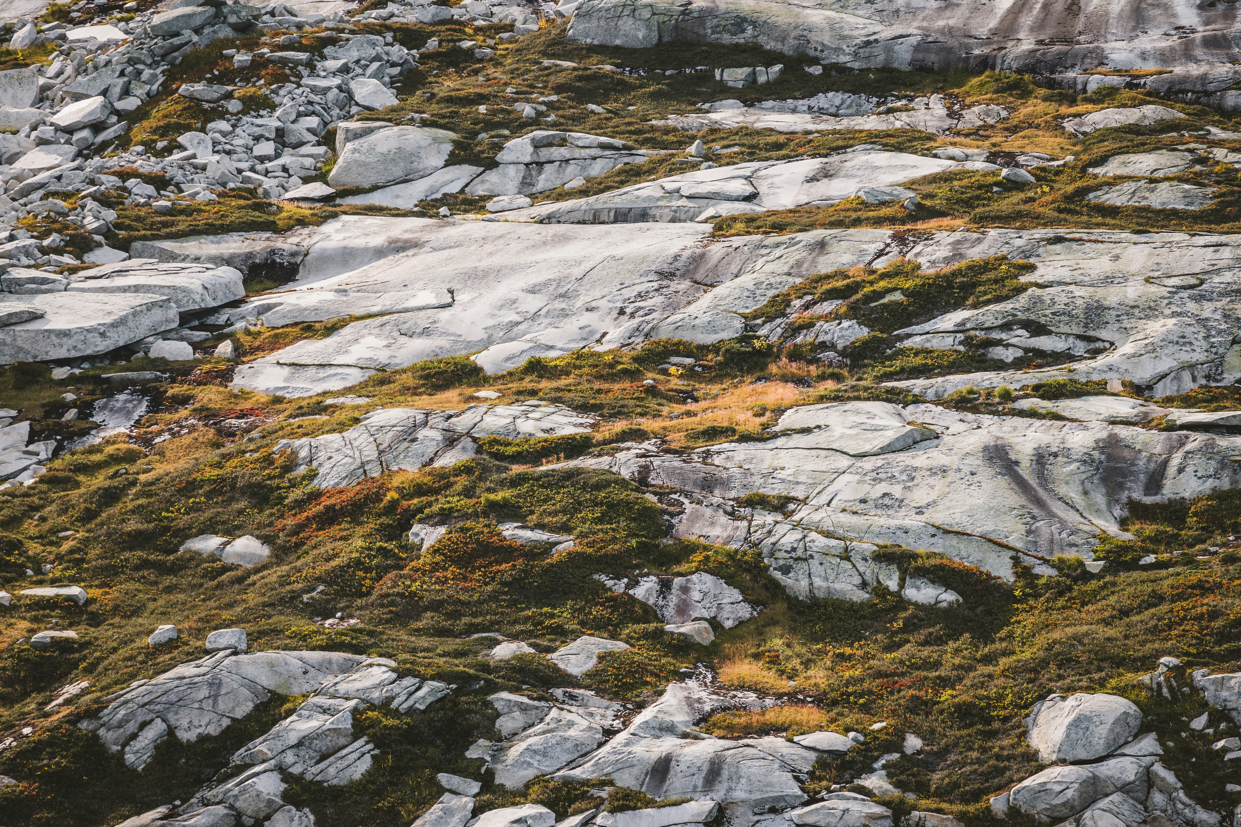 Photo by trail_mix_mike