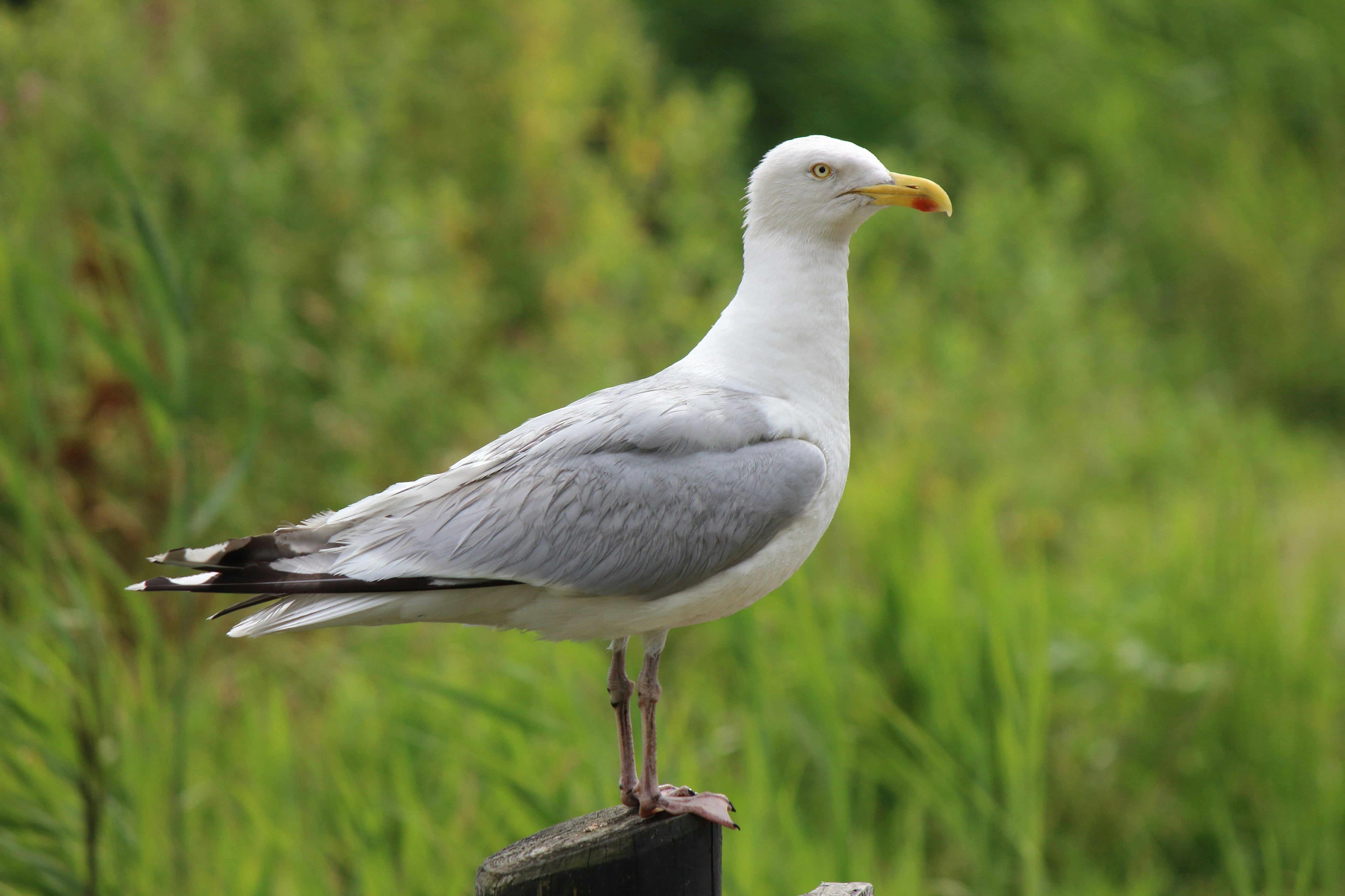 Photo by cengizozarpat