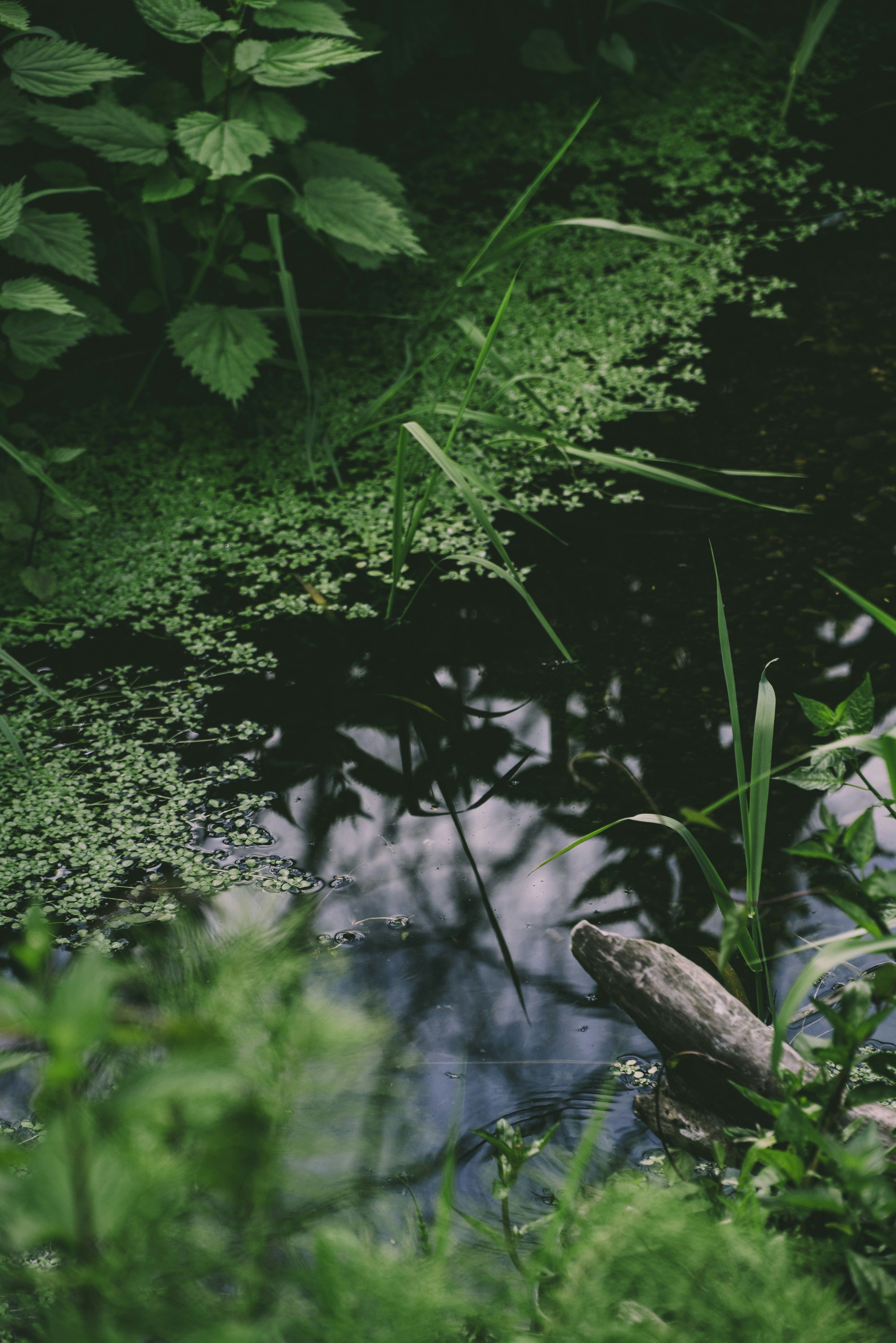 Photo by camacho0208