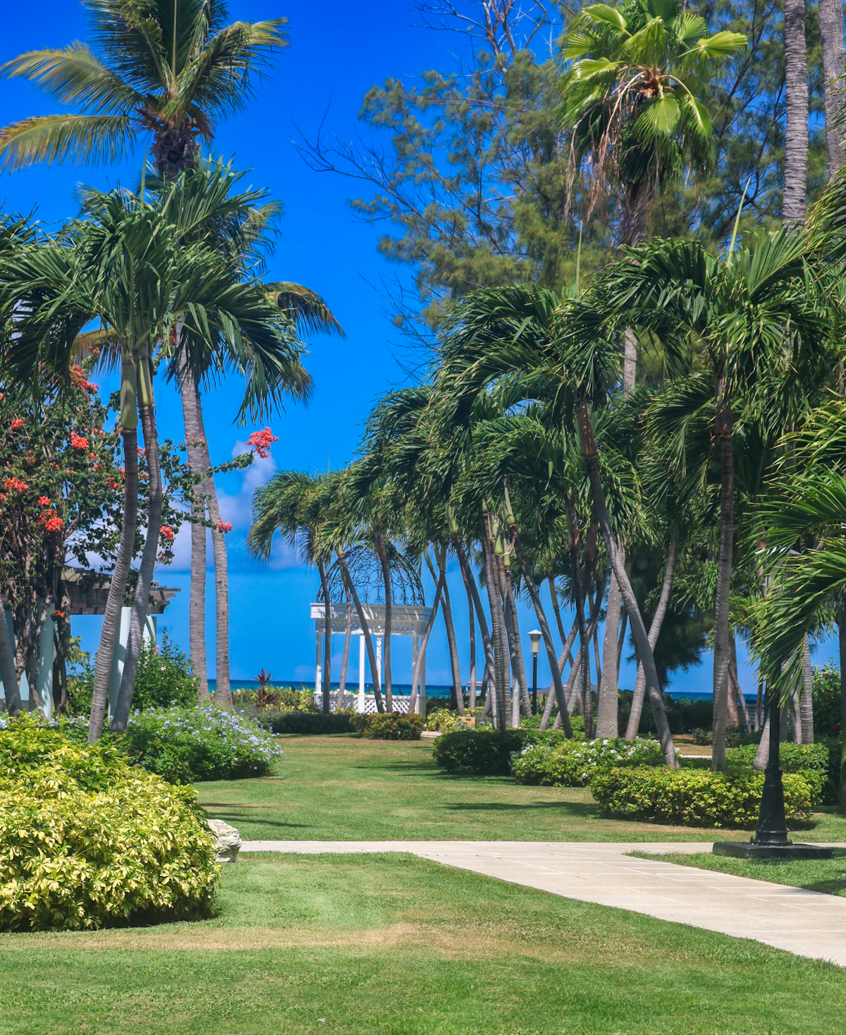 Tropical beach with cabanas and turquoise water